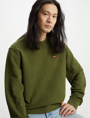 LEVI´S Men - NEW ORIGINAL CREW SEA MOSS - sportiska stila džemperi - greens - 5