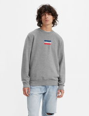 LEVI´S Men - STANDARD GRAPHIC CREW MINI SPO - sweatshirts - multi-color - 2