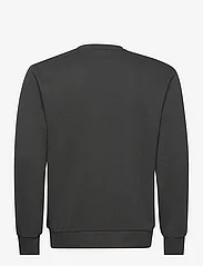 LEVI´S Men - STANDARD GRAPHIC CREW MINI SPO - sportiska stila džemperi - multi-color - 1