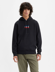 LEVI´S Men - STANDARD GRAPHIC HOODIE MINI S - hoodies - multi-color - 2