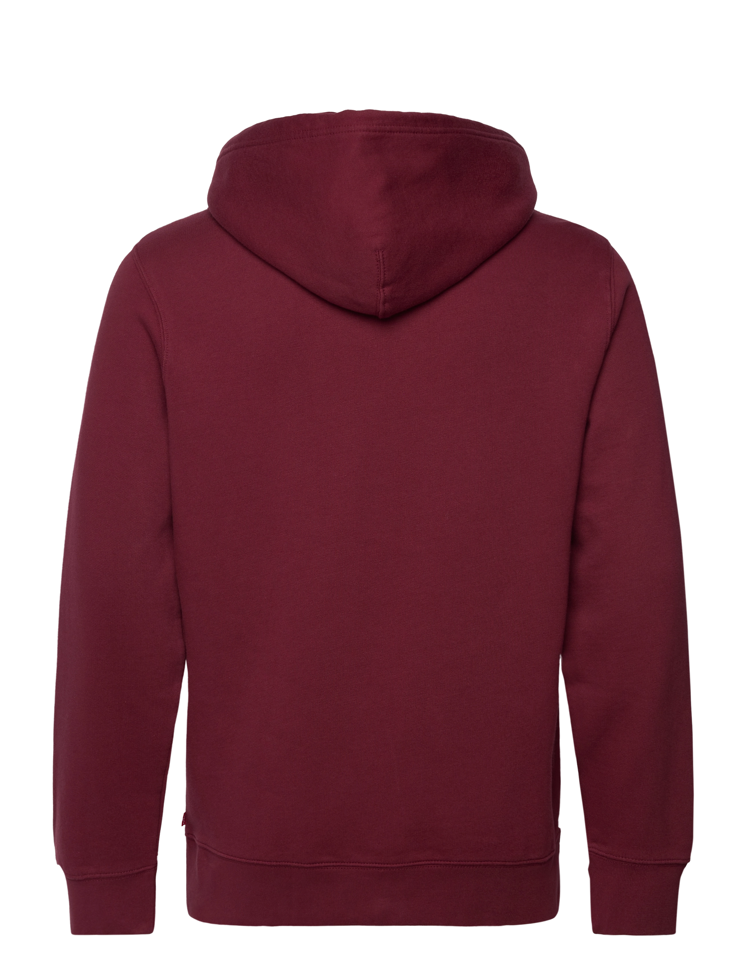 LEVI´S Men - STANDARD GRAPHIC HOODIE ROPE B - blues - 1