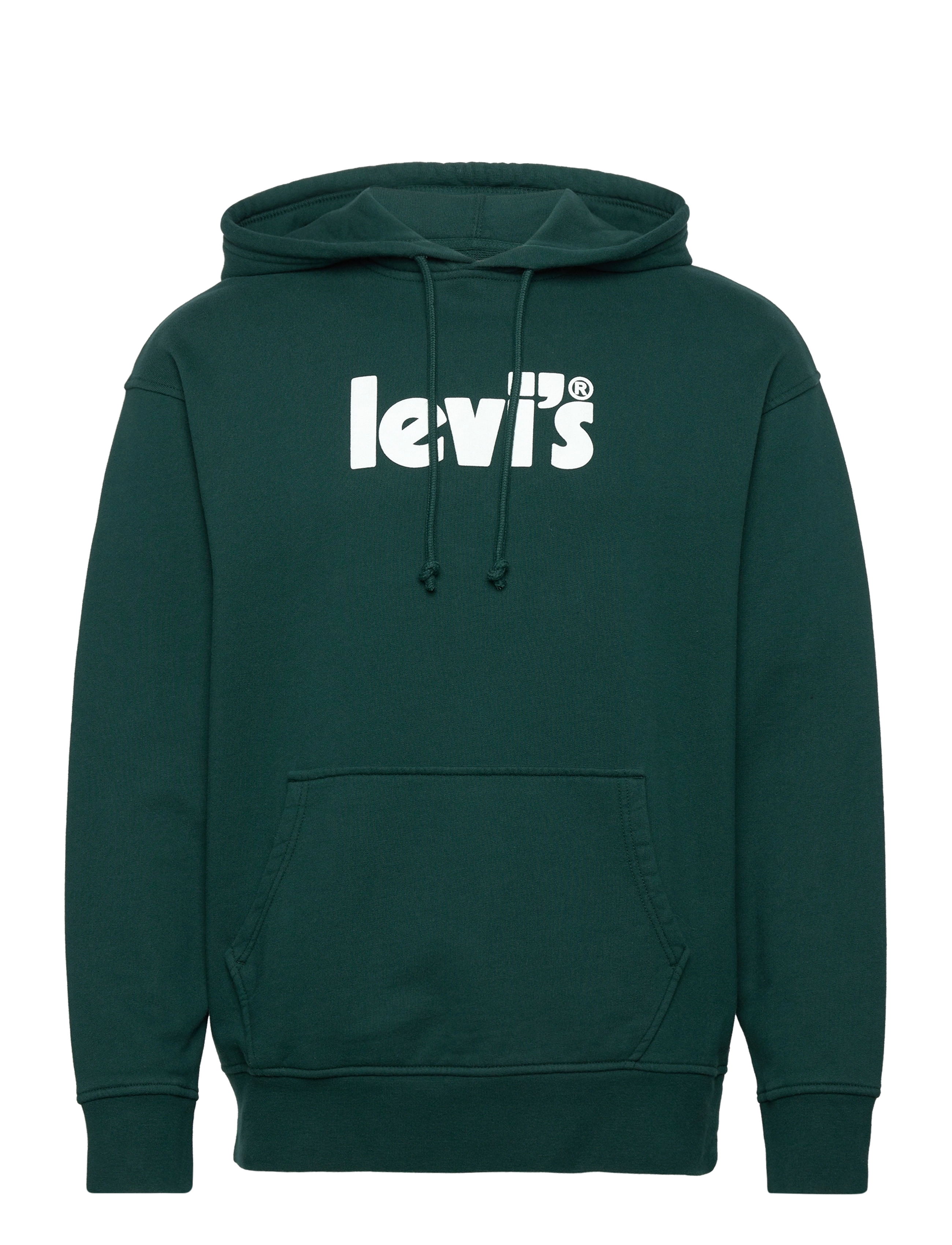 LEVI´S Men - RELAXED GRAPHIC PO CORE POSTER - greens - 0