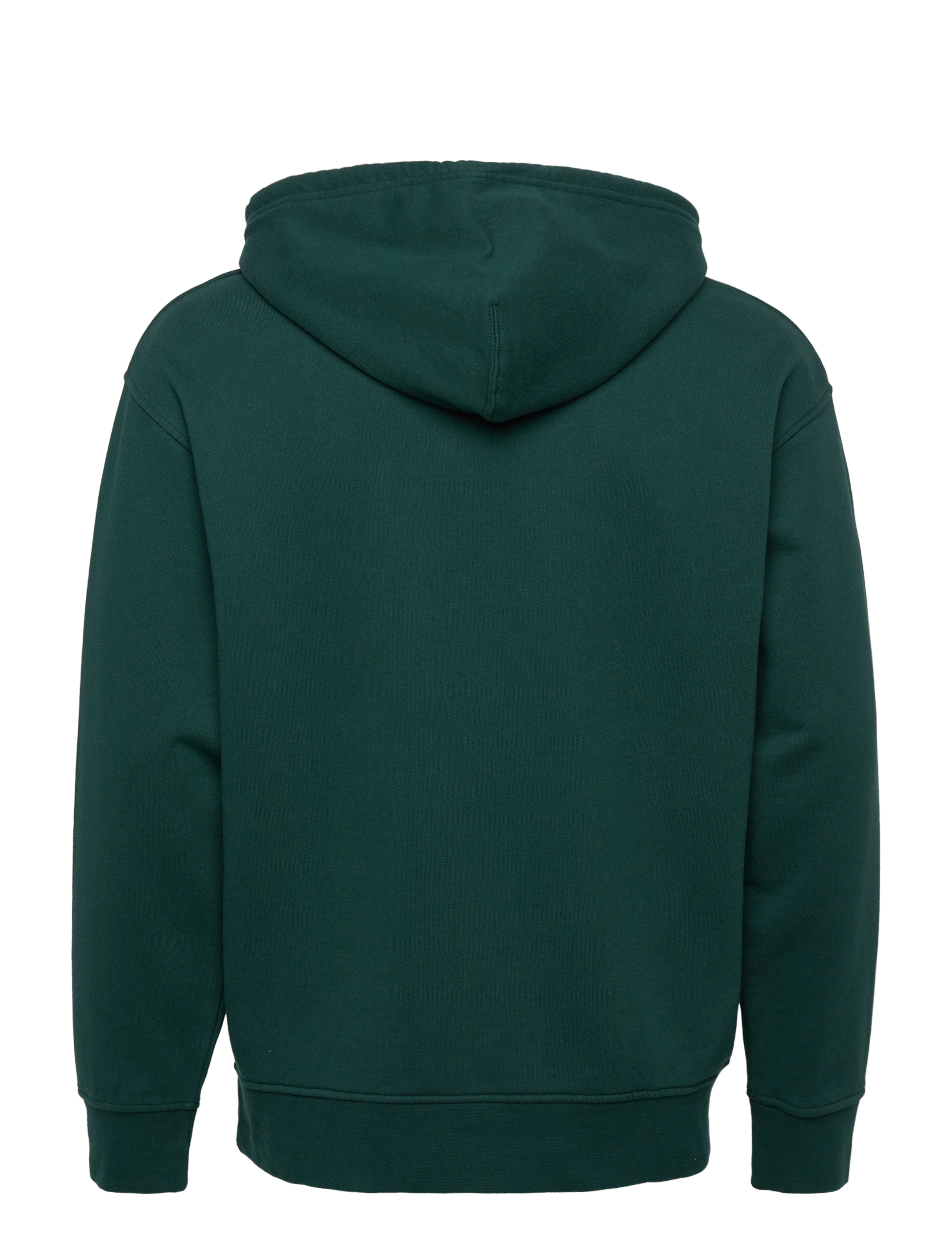 LEVI´S Men - RELAXED GRAPHIC PO CORE POSTER - greens - 1