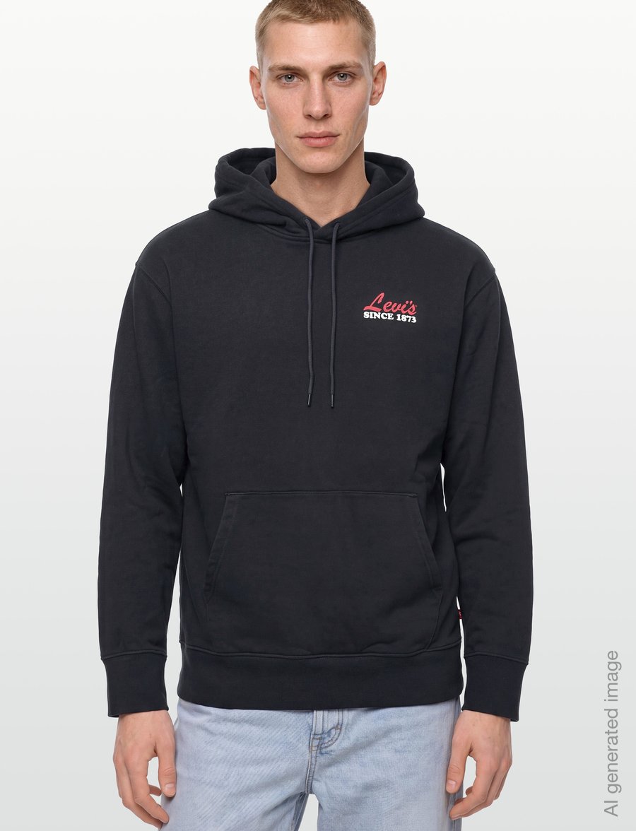 Levi's® - RELAXED GRAPHIC PO BIG APPLE R - sweats à capuche - blacks - 3