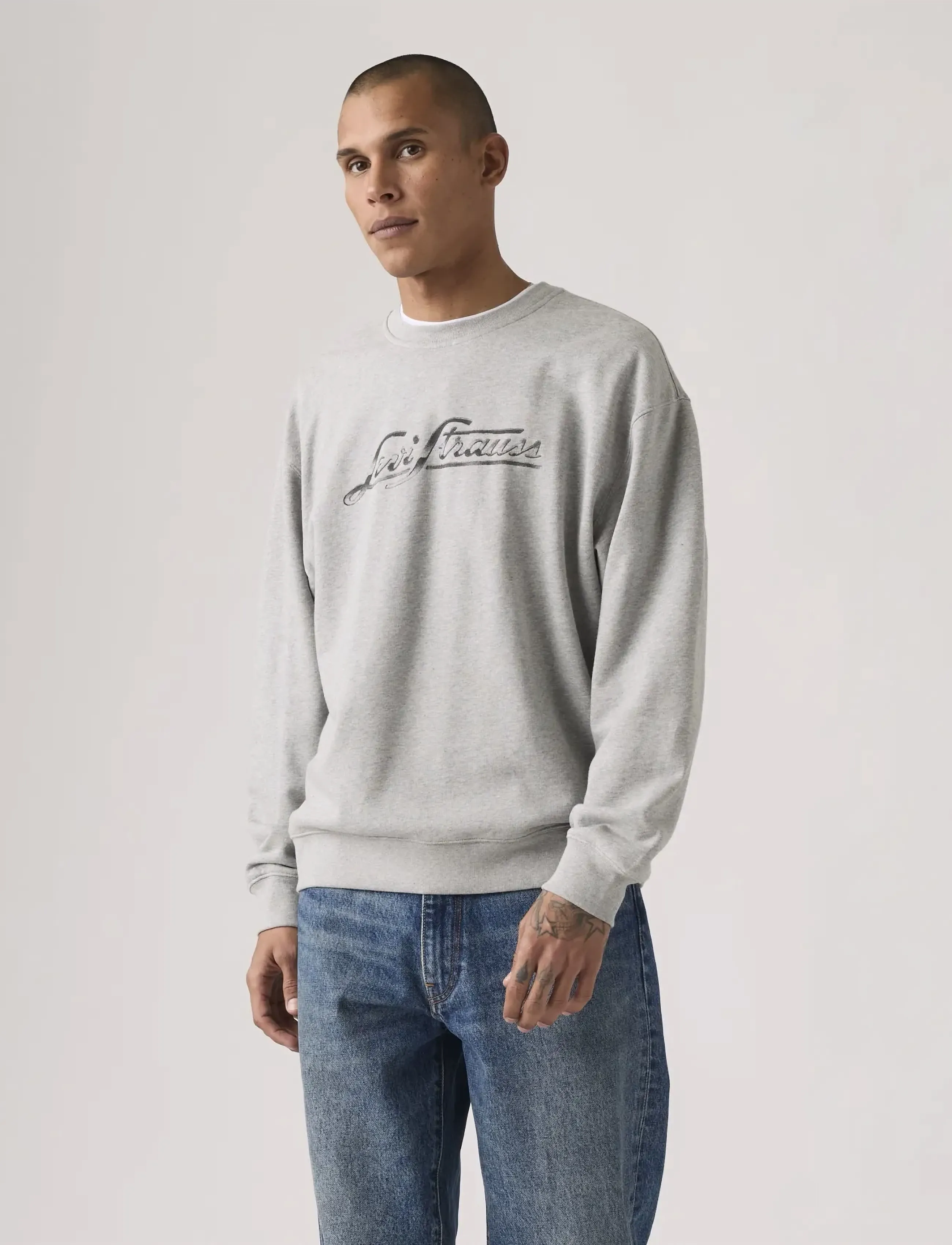 Levi's® RELAXD GRAPHIC CREW ARCHIVAL M - Dressipluusid - GREYS / grey