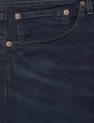 LEVI´S Men - 405 STANDARD SHORT PUNCH LINE - lühikesed teksapüksid - dark indigo - worn in - 2