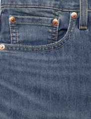 LEVI´S Men - 405 STANDARD SHORTS PENGUIN PA - jeans shorts - dark indigo - worn in - 2
