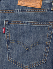LEVI´S Men - 405 STANDARD SHORTS PENGUIN PA - jeansshorts - dark indigo - worn in - 4