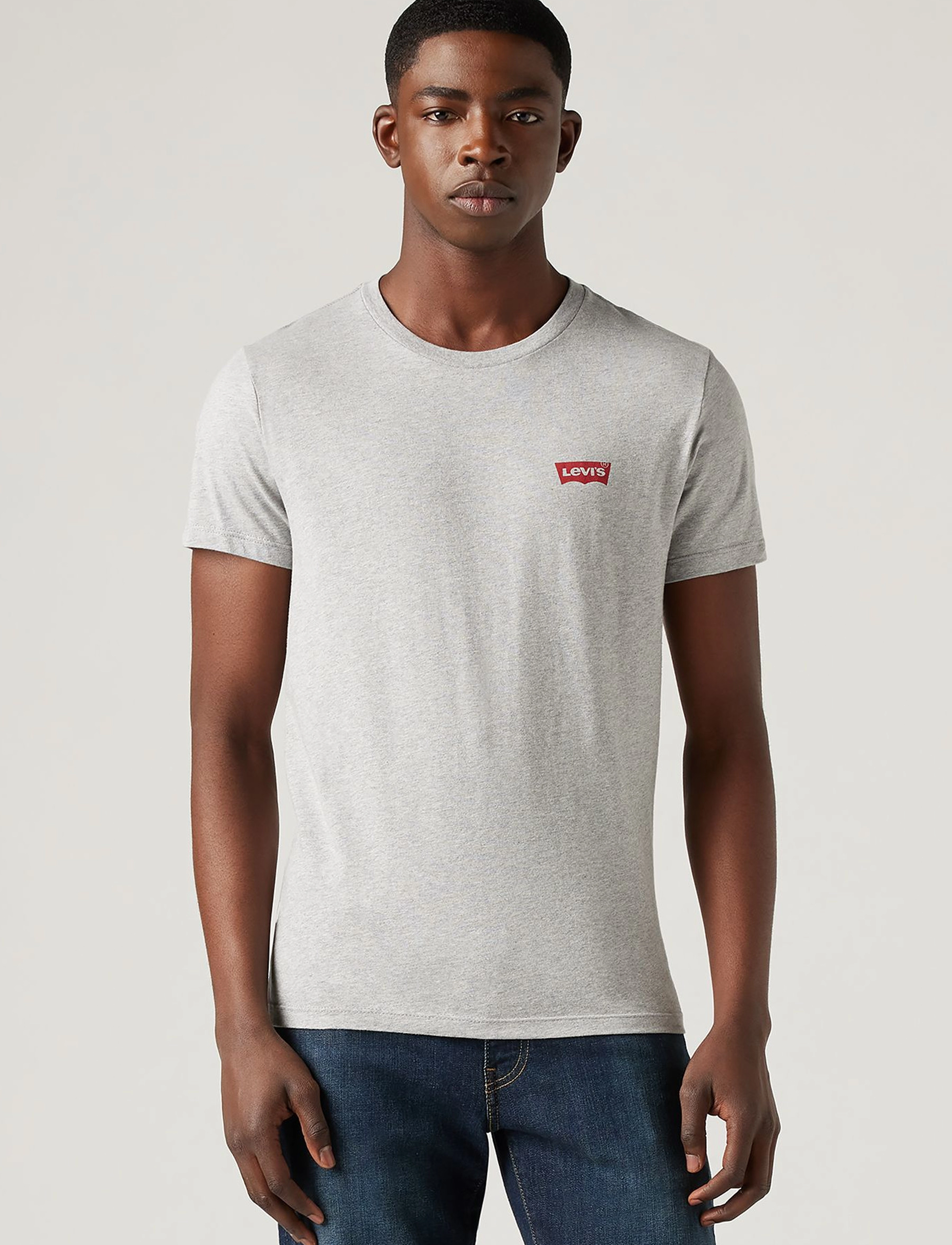 Levi's® - 2PK CREWNECK GRAPHIC 2 PACK HM - laveste priser - neutrals - 2