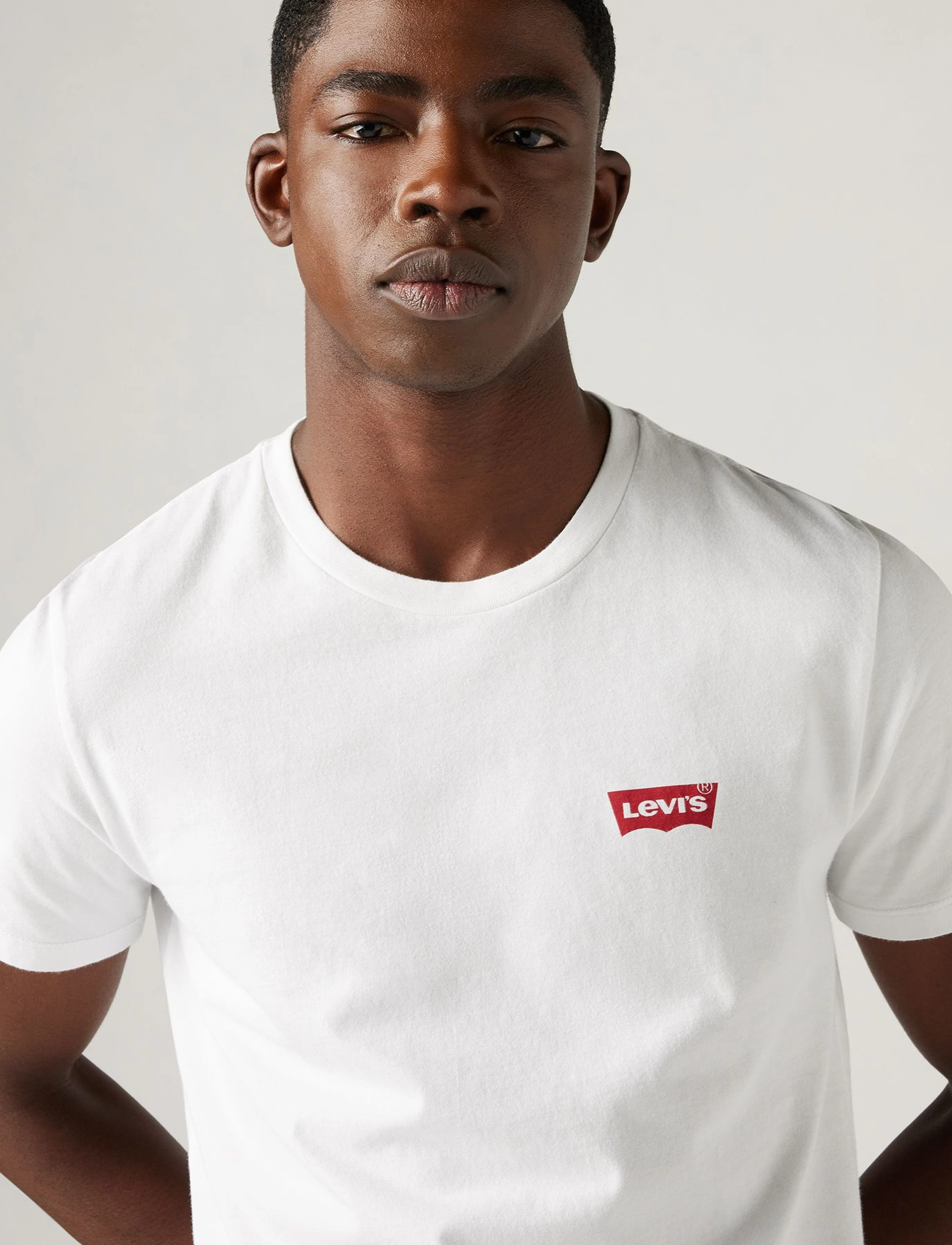 Levi's® - 2PK CREWNECK GRAPHIC 2 PACK HM - laveste priser - neutrals - 4