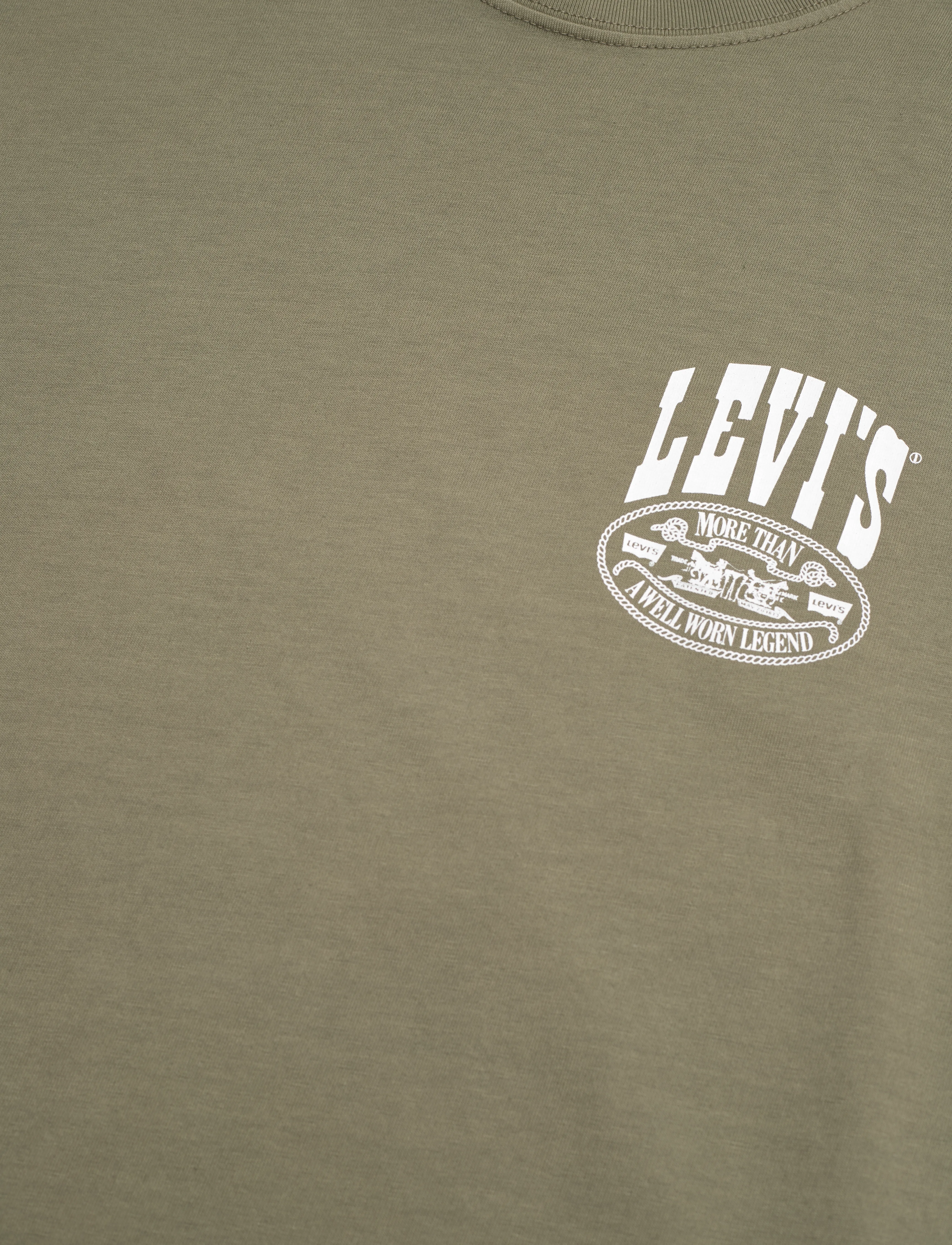 Levi's® - VINTAGE FIT GRAPHIC TEE CONCER - greens - 3