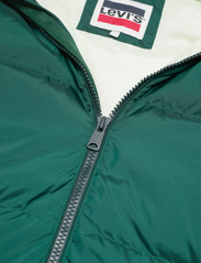 LEVI´S Men - HOODED FILLMORE SHRT JKT PONDE - winter jackets - greens - 3