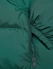 LEVI´S Men - HOODED FILLMORE SHRT JKT PONDE - winter jackets - greens - 5