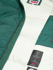 LEVI´S Men - HOODED FILLMORE SHRT JKT PONDE - winter jackets - greens - 6