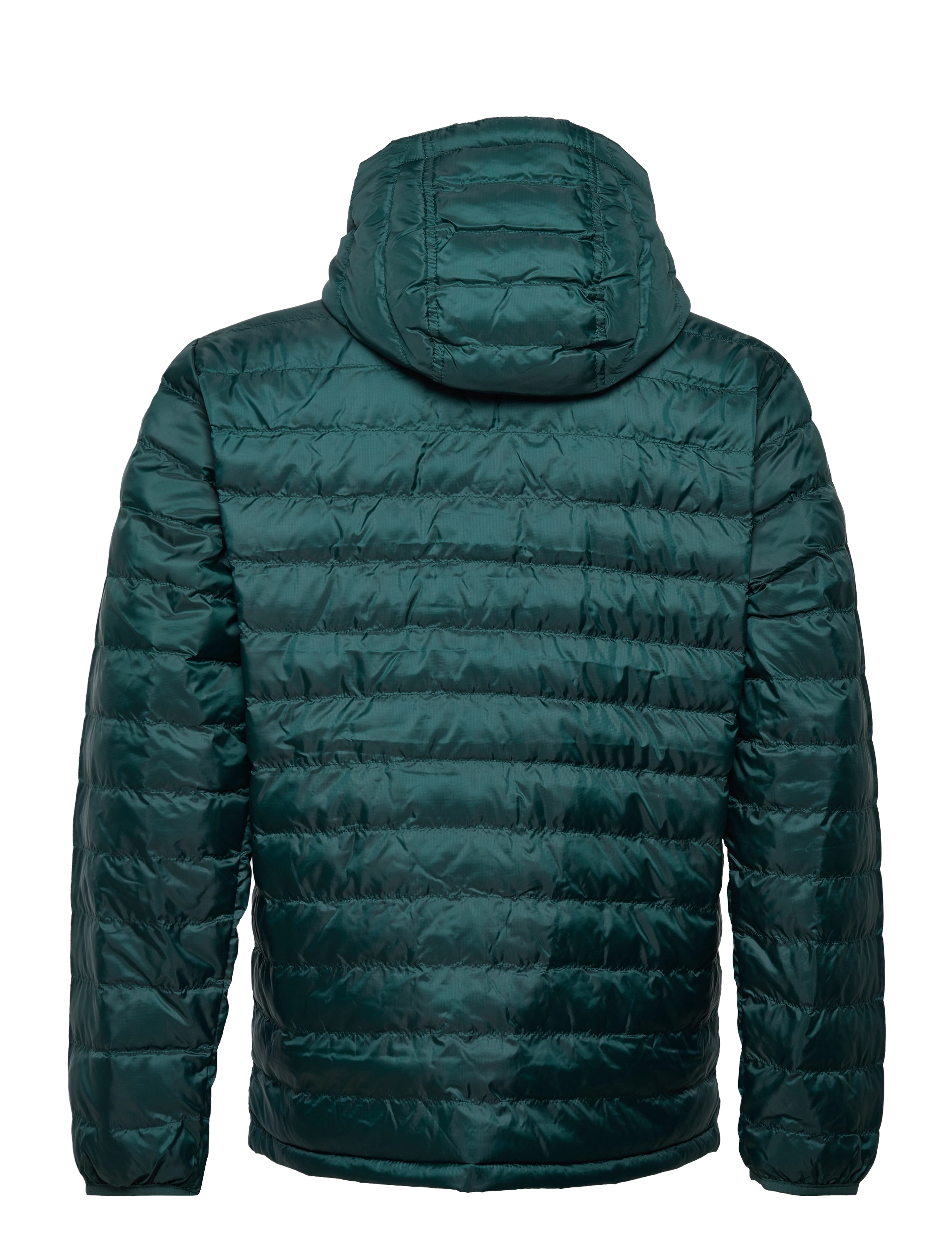 LEVI´S Men - PRESIDIO PKBL HOODED JKT PONDE - greens - 1