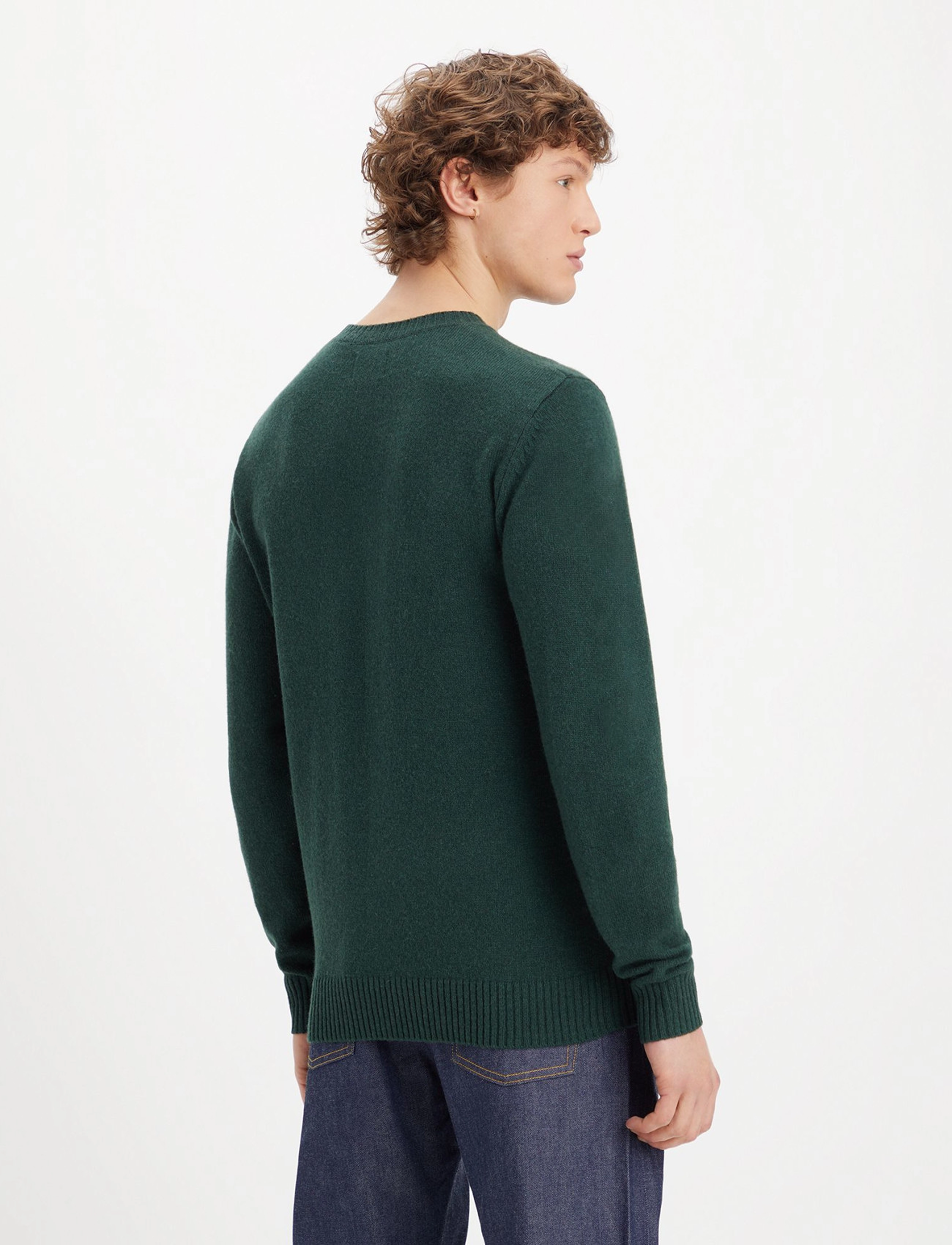 LEVI´S Men - ORIGINAL HM SWEATER DARKEST SP - greens - 4