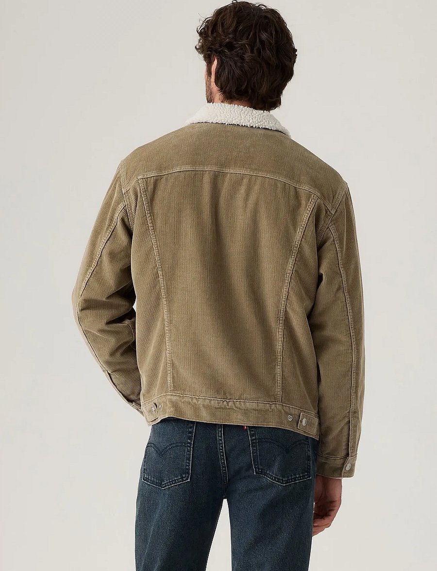 Levi's® - RELAXED FIT SHERPA TRKR TIMBER - gefütterte denimjacken - neutrals - 3