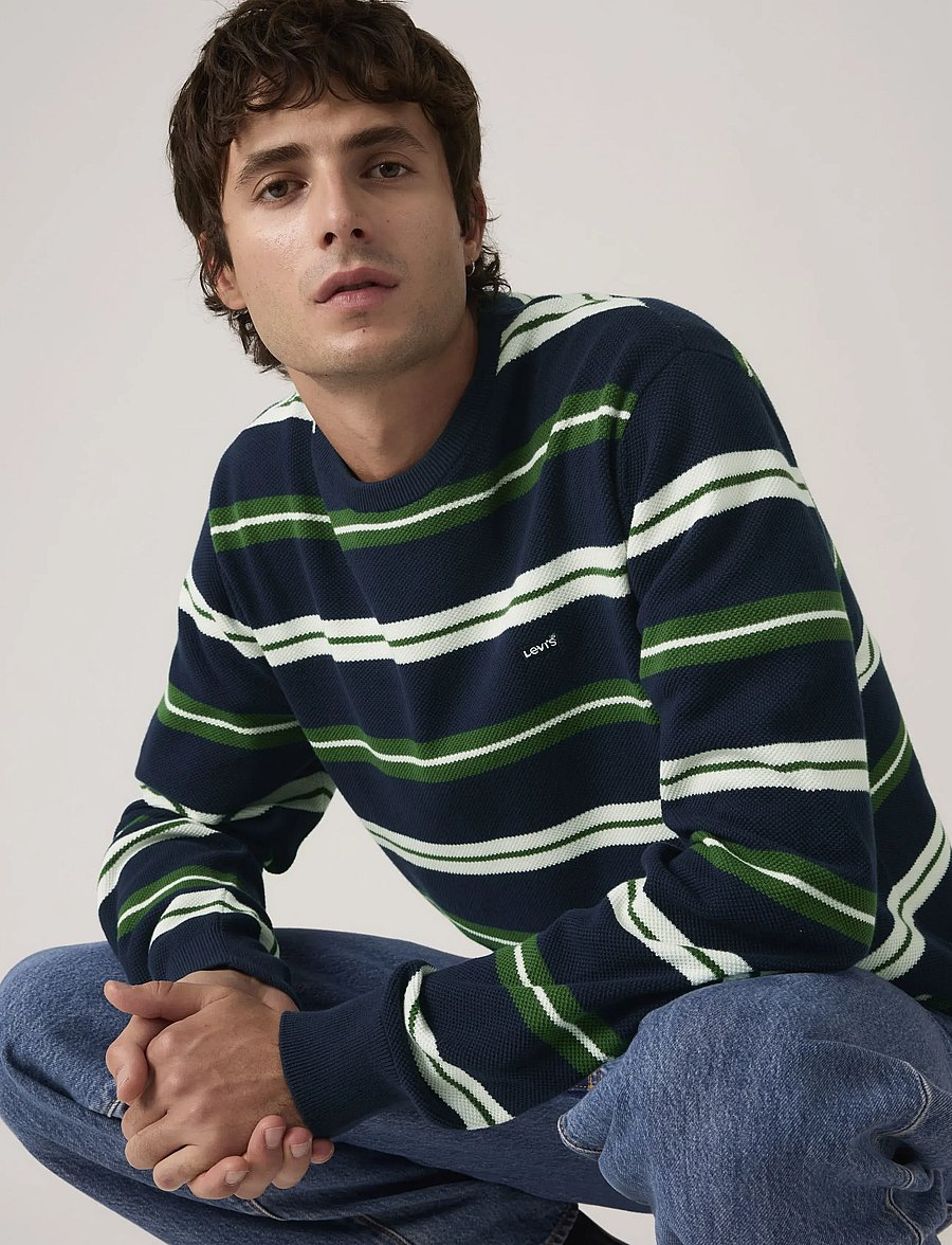 Levi's® - LIGHTWEIGHT HM SWEATER ANTHEM - rundhals - blues - 5