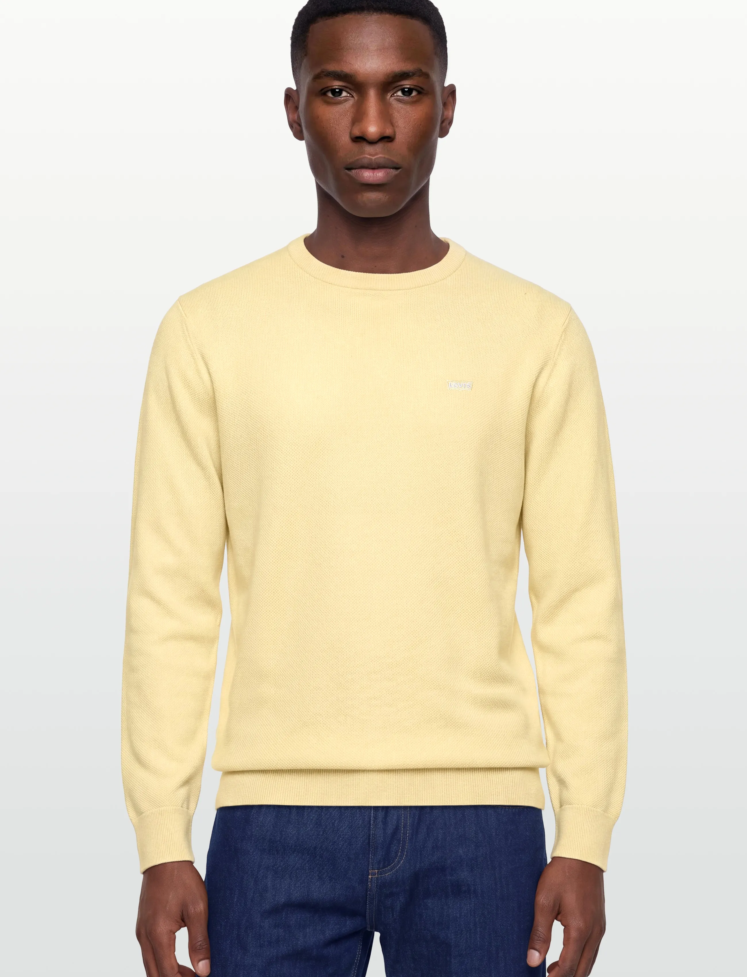 Levi's® - LIGHTWEIGHT HM SWEATER RUTABAG - rundhalsad - neutrals - 3