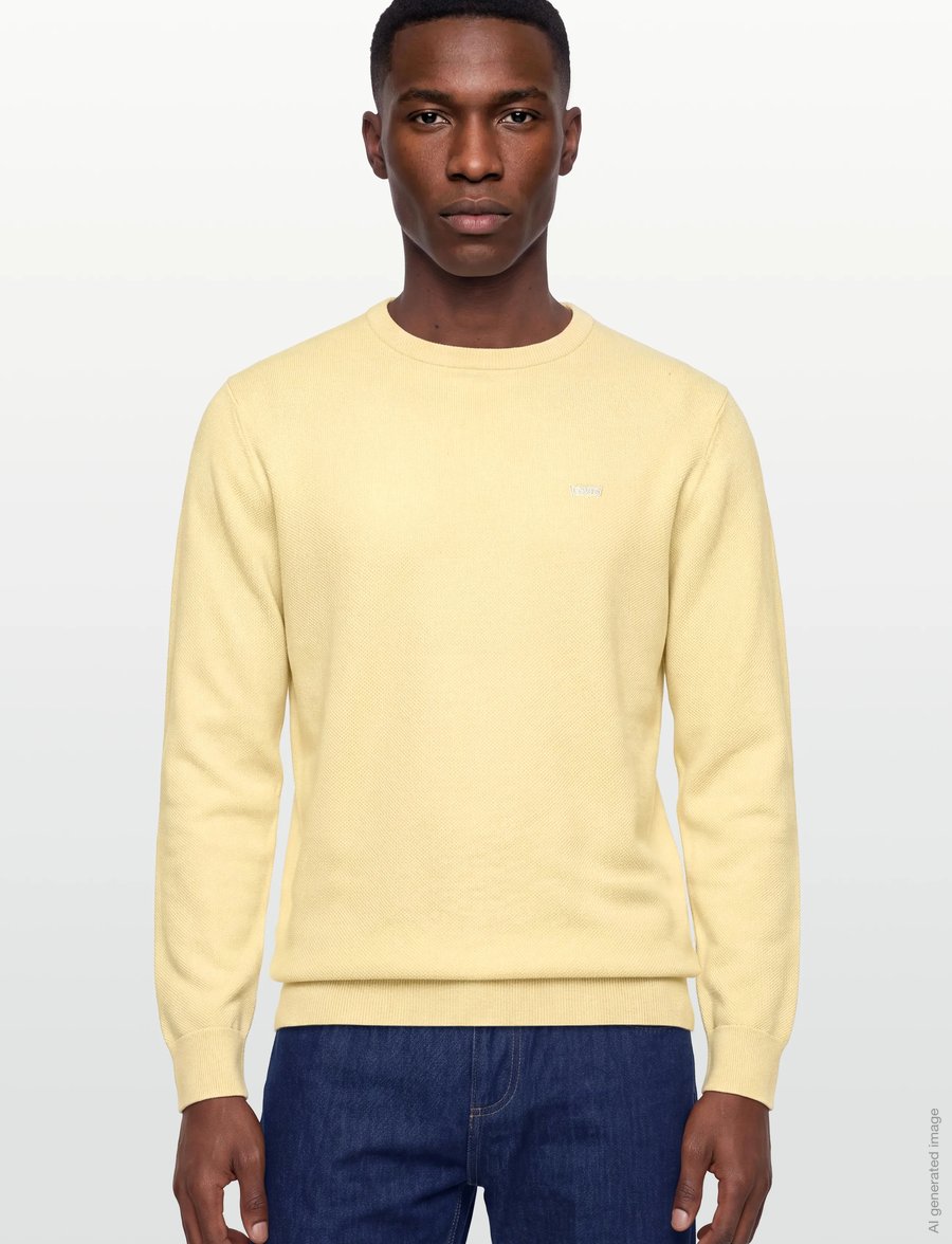Levi's® - LIGHTWEIGHT HM SWEATER RUTABAG - rundhals - neutrals - 3