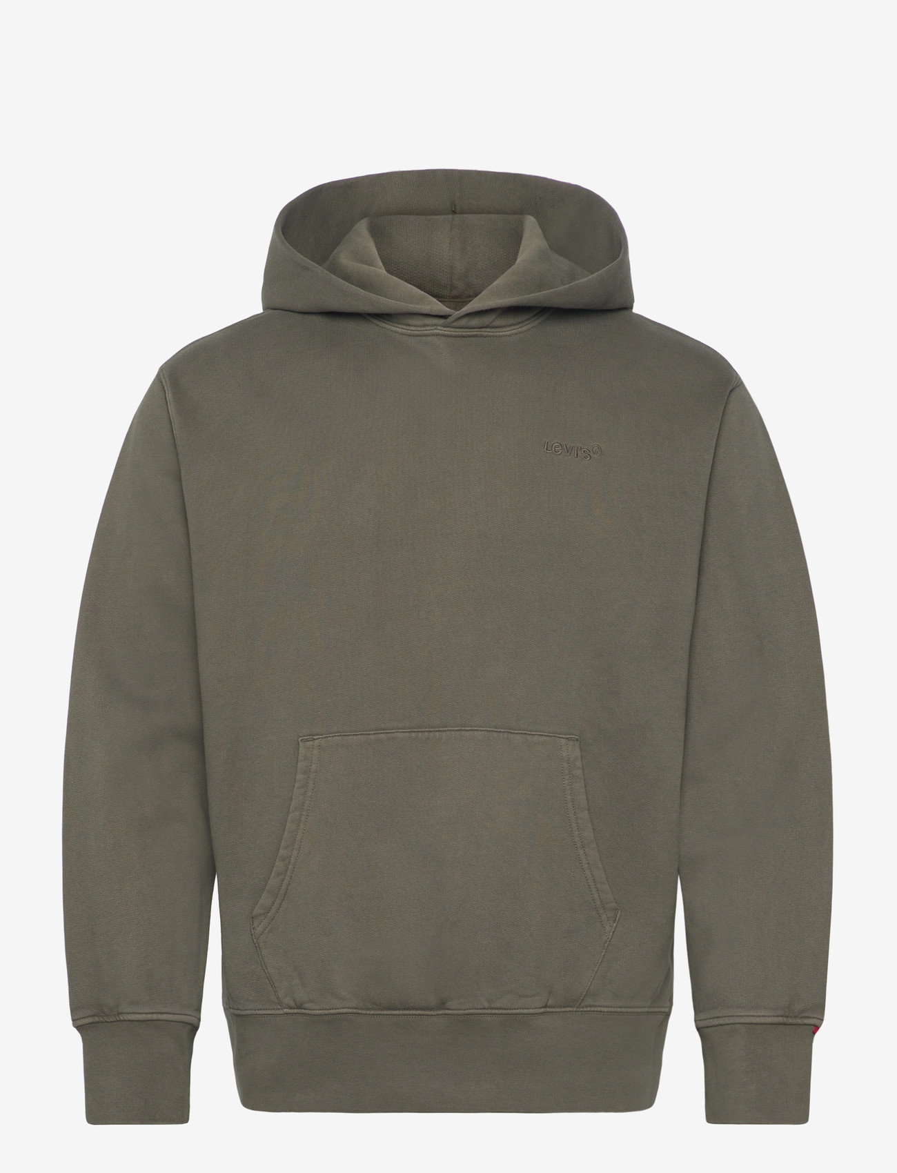 Levi's® - THE AUTHENTIC HOODIE GARMENT D - kapuzenpullover - greens - 1