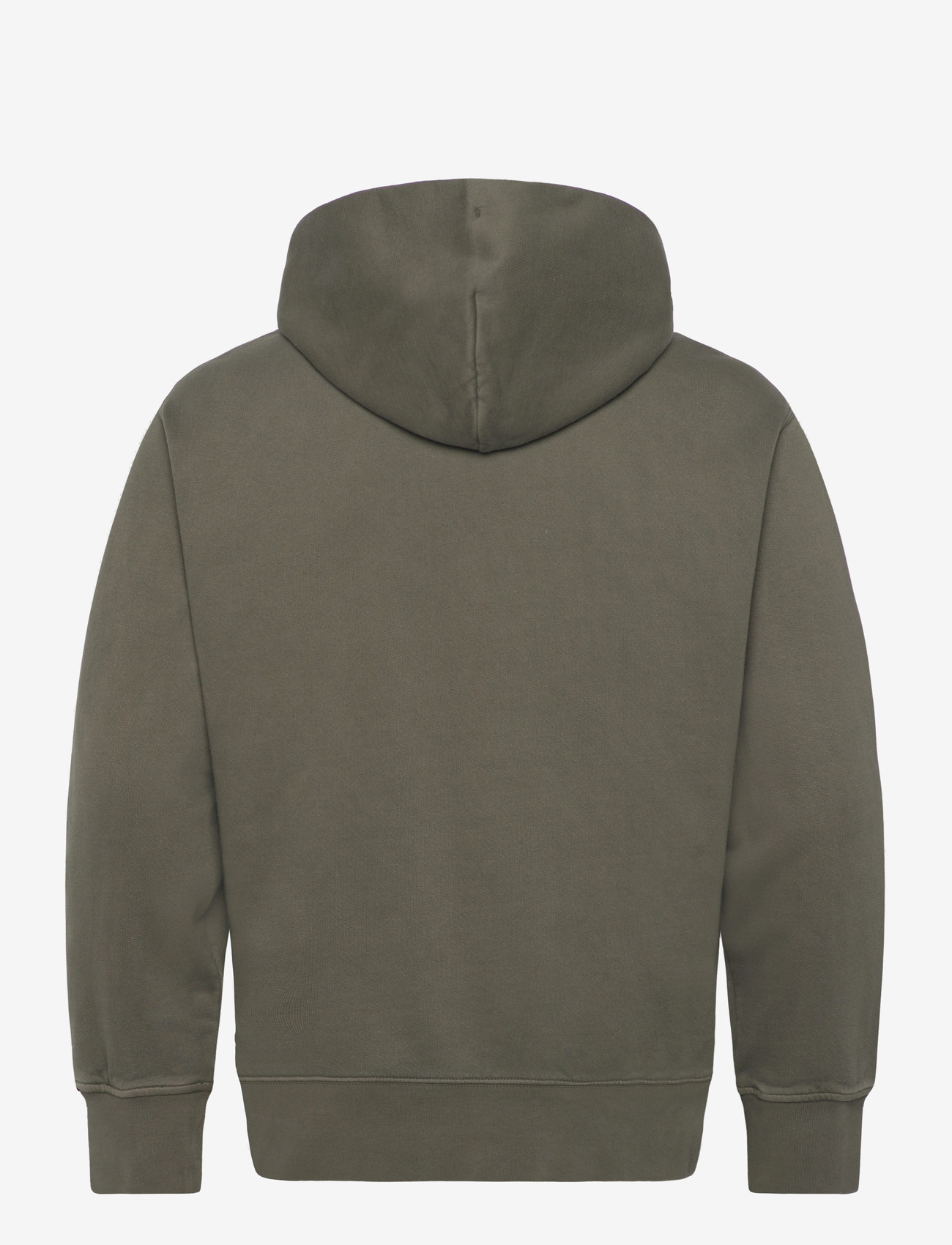 Levi's® - THE AUTHENTIC HOODIE GARMENT D - kapuzenpullover - greens - 2