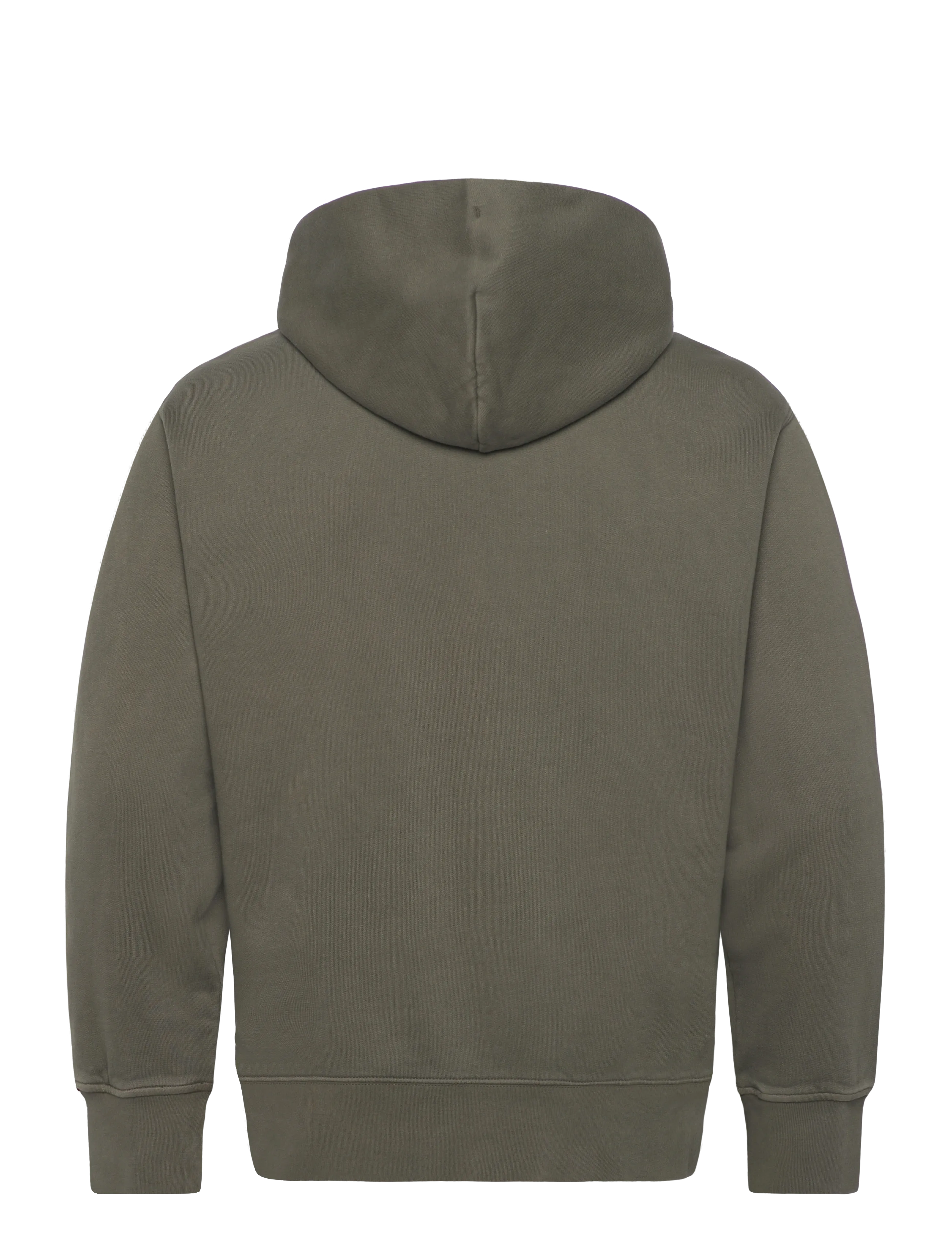 Levi's® - THE AUTHENTIC HOODIE GARMENT D - sweatshirts - greens - 2