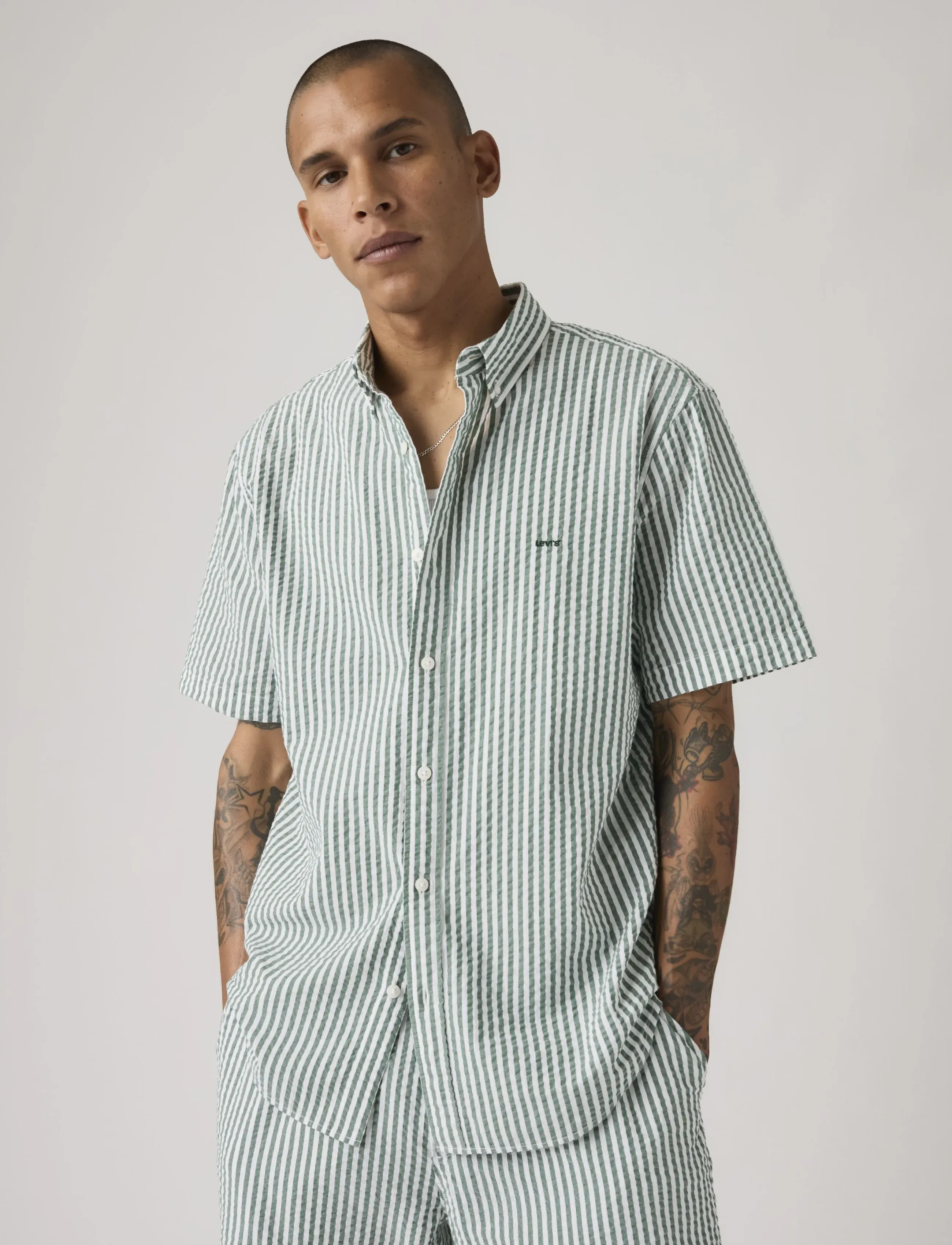 Levi's® SS AUTHENTIC BUTTON DOWN GREENS - Kläder - SS AUTHENTIC BUTTON DOWN ALDWYN STRIPE EDEN SEERSUCKER / multi
