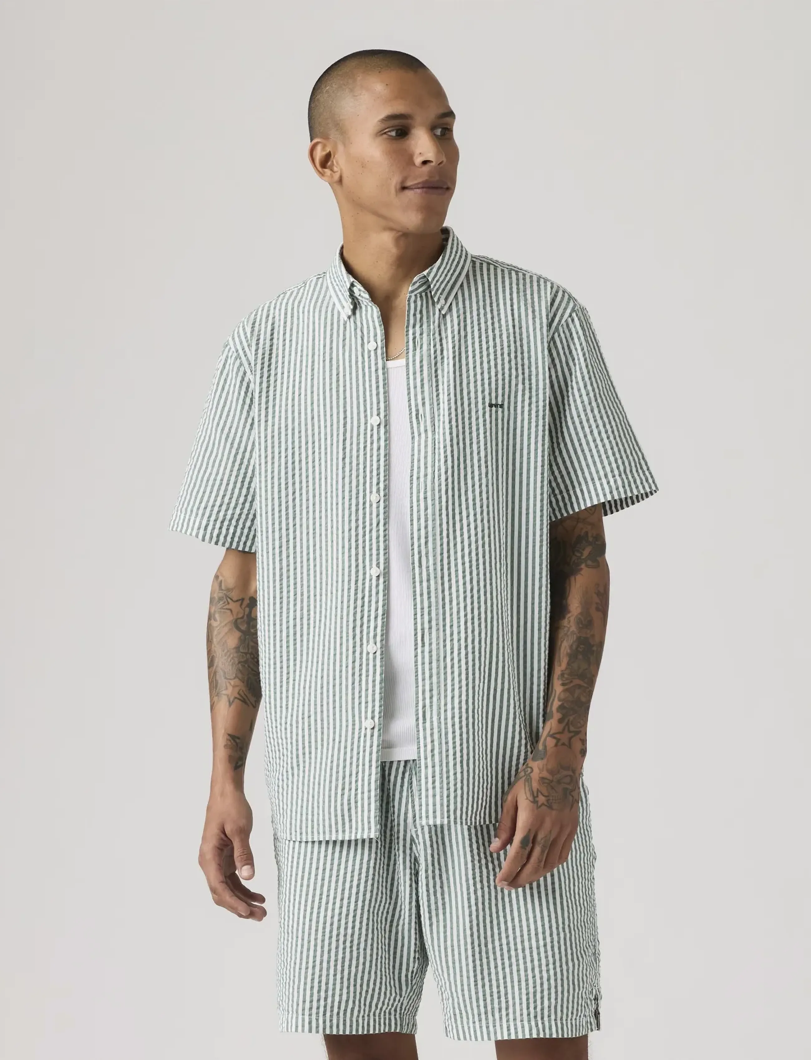 Levi's® - SS AUTHENTIC BUTTON DOWN GREENS - lühikeste varrukatega särgid - ss authentic button down aldwyn stripe eden seersucker - 5