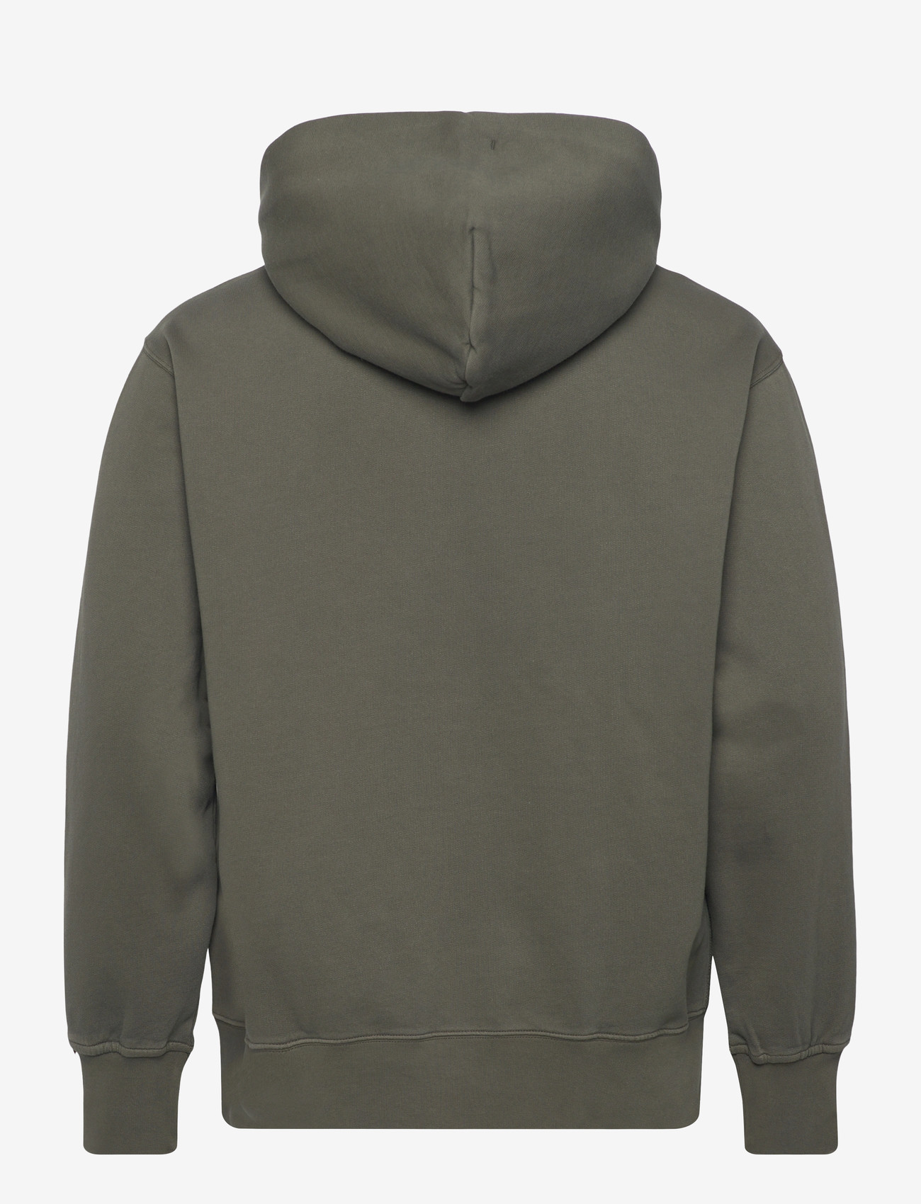 Levi's® - AUTHENTIC FULL ZIP GARMENT DYE - sweatshirts - greens - 2