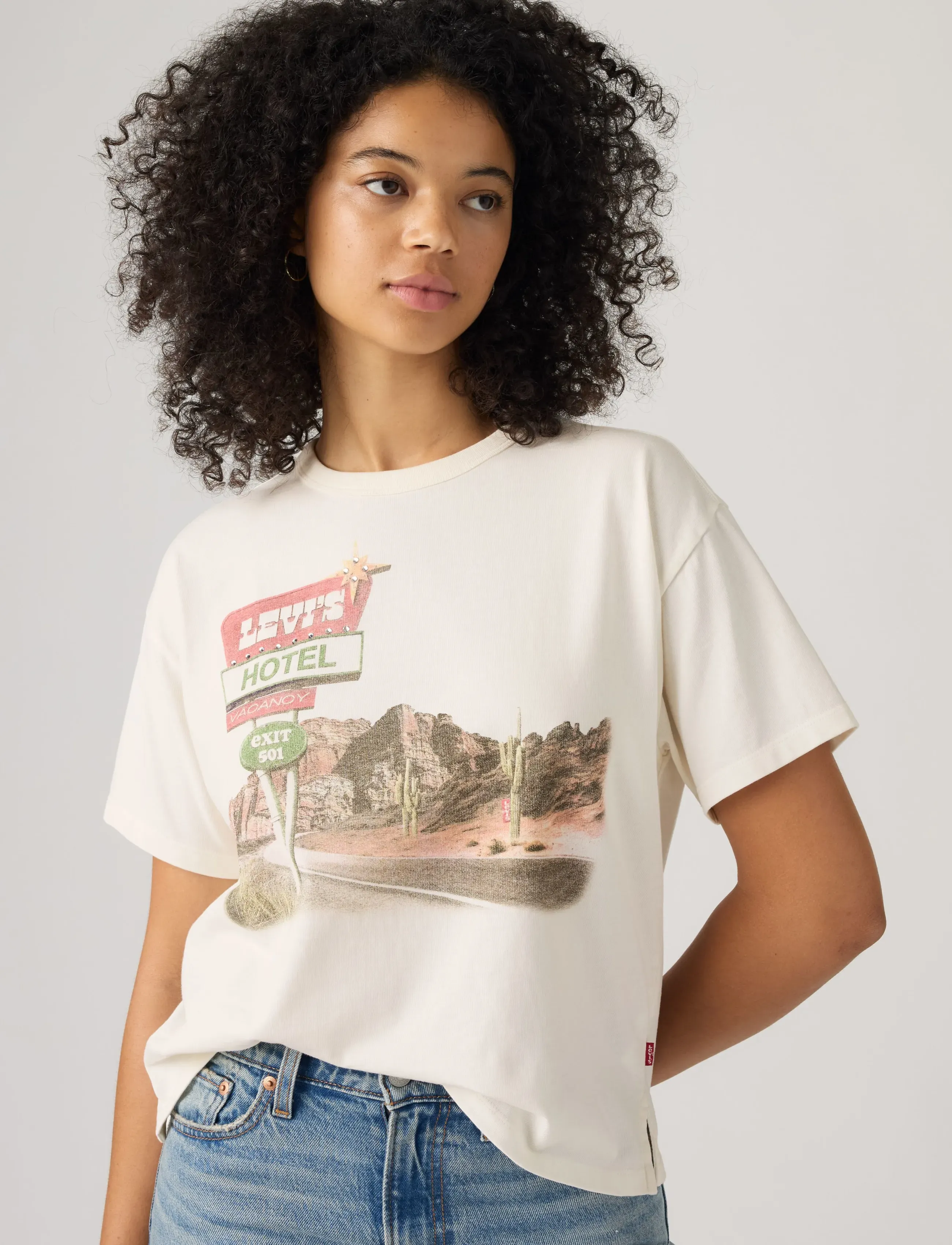 Gr Vintage Tee Levis Hotel Vt