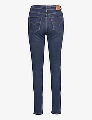 LEVI´S Women - 721 HIGH RISE SKINNY Z0741 DAR - džinsa bikses ar tievām starām - dark indigo - worn in - 1