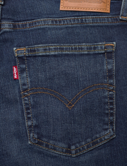 LEVI´S Women - 721 HIGH RISE SKINNY BLUE WAVE - skinny jeans - dark indigo - worn in - 12