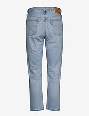 LEVI´S Women - 501 CROP OJAI LUXOR RA - straight jeans - light indigo - worn in - 2