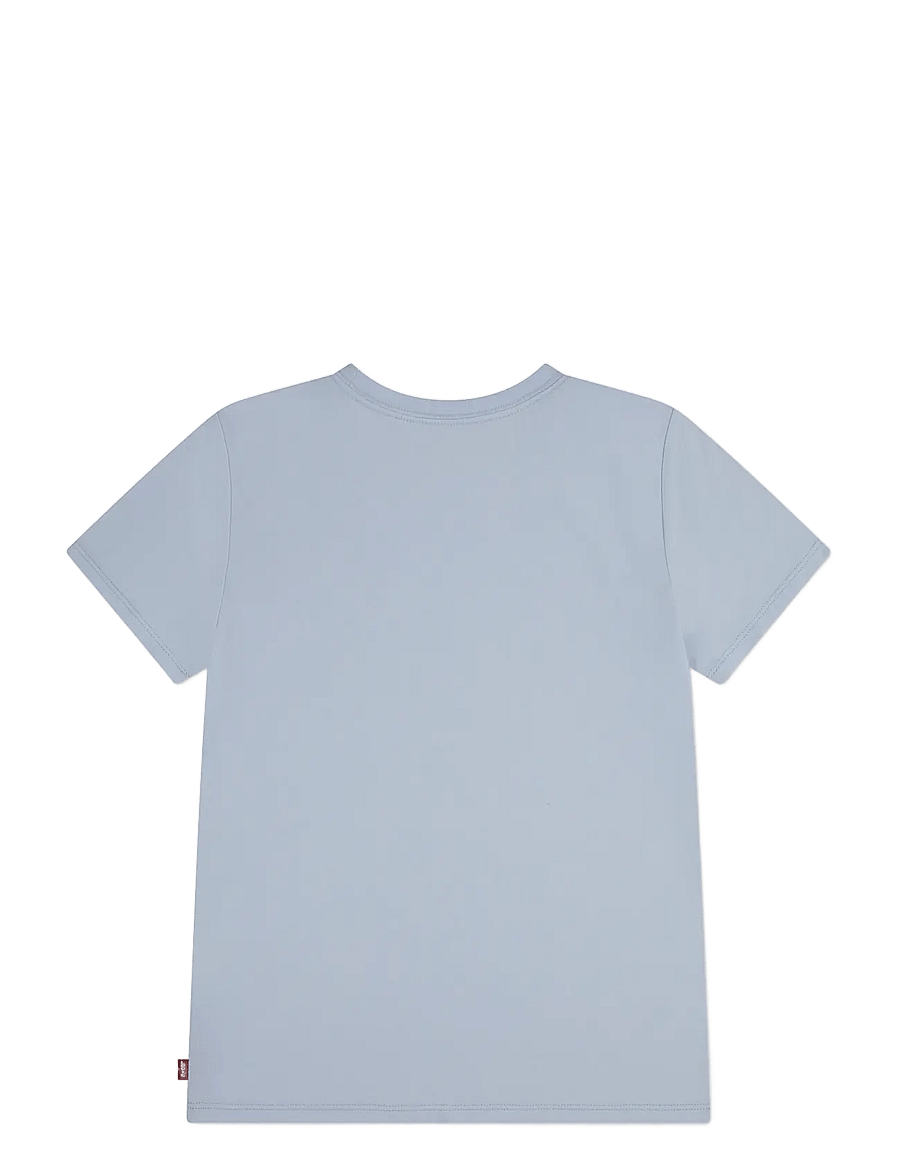 Levi's - Levi's® Batwing Chest Hit Tee - kurzärmelige - country air - 1
