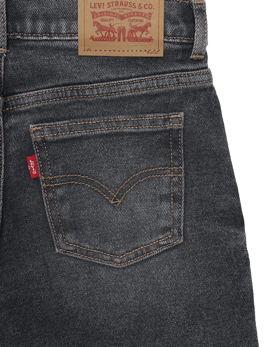 Levi's - PX-DENIM PANTS - vida jeans - chalk board - 3