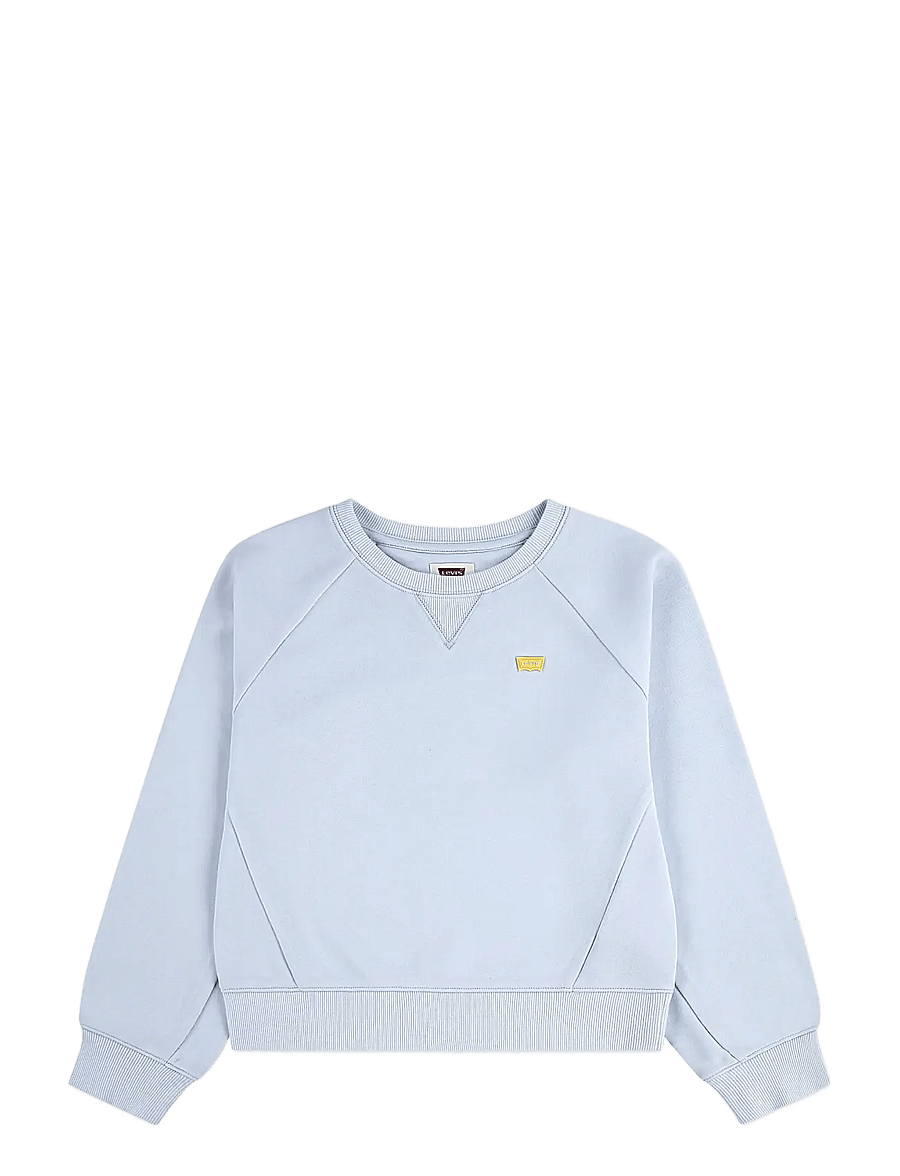 Levi's - FW-CREW - sweatshirts - country air - 0