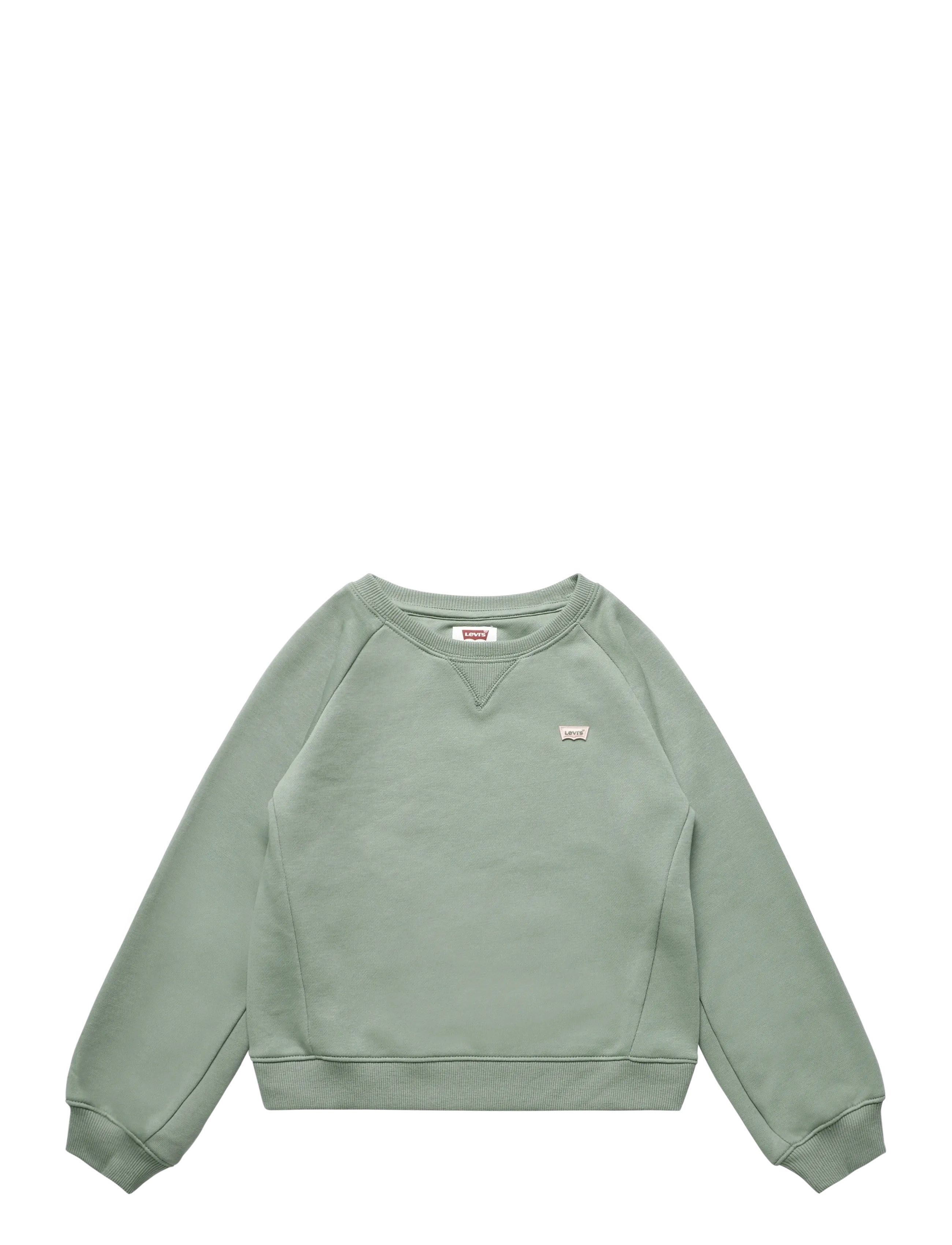 Levi's - FW-CREW - sweatshirts - sea spray - 0