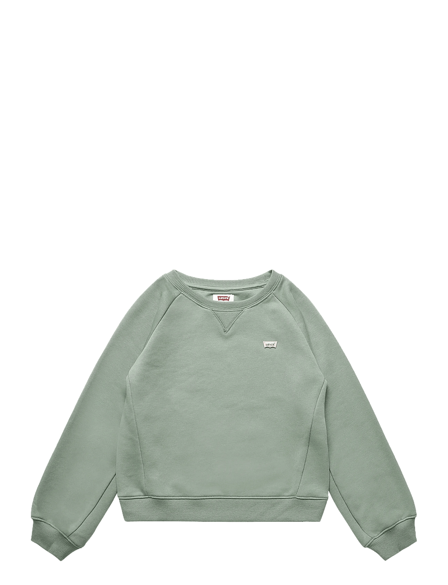 Levi's - FW-CREW - sweatshirts - sea spray - 0
