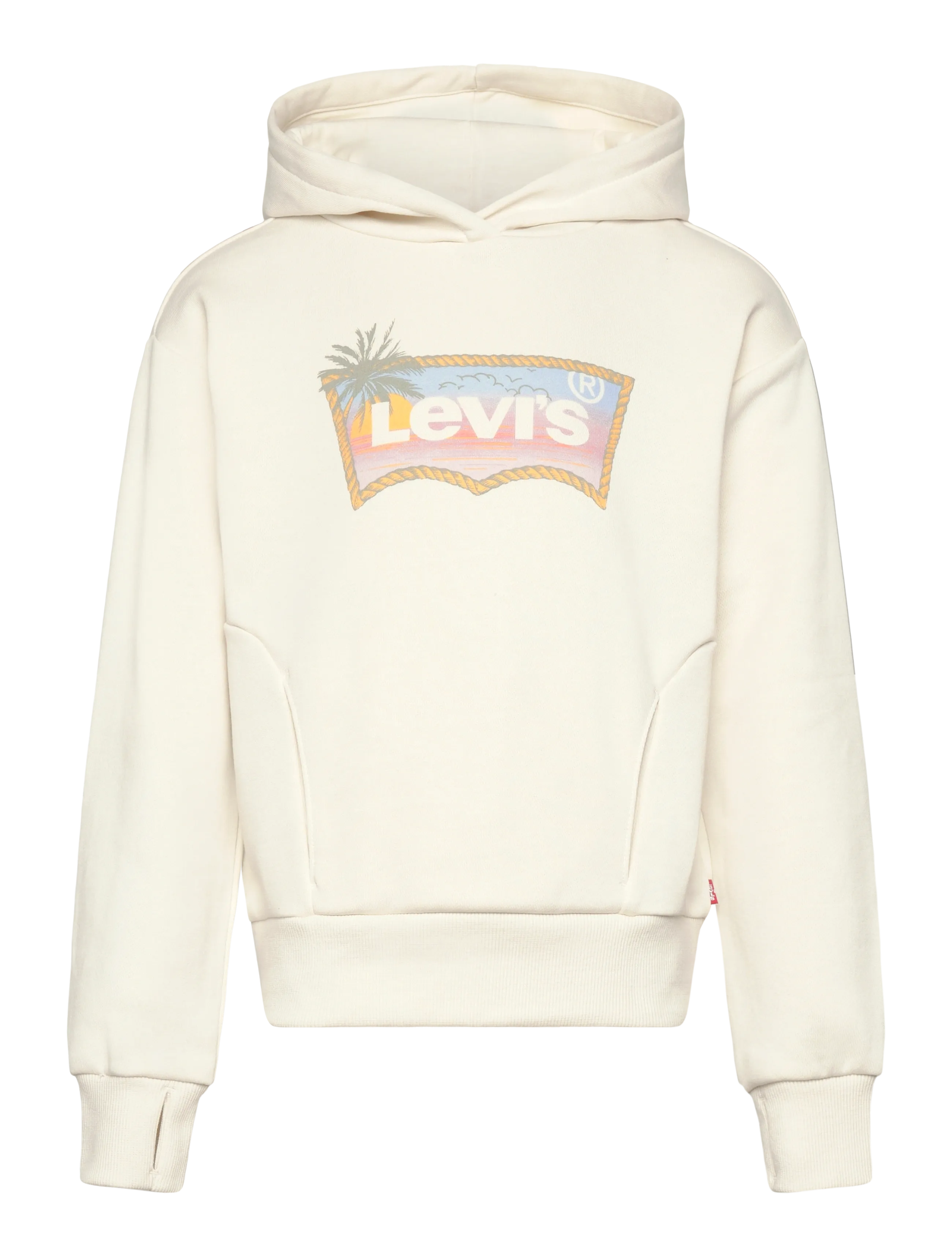 Levi's Levi's® Ombre Batwing Oversized Hoodie - Riided - ANTIQUE WHITE / cream