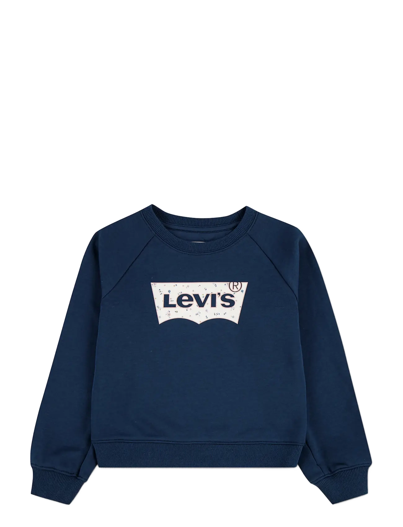 Levi's FW-CREW - Levi's® - BIG DIPPER / navy