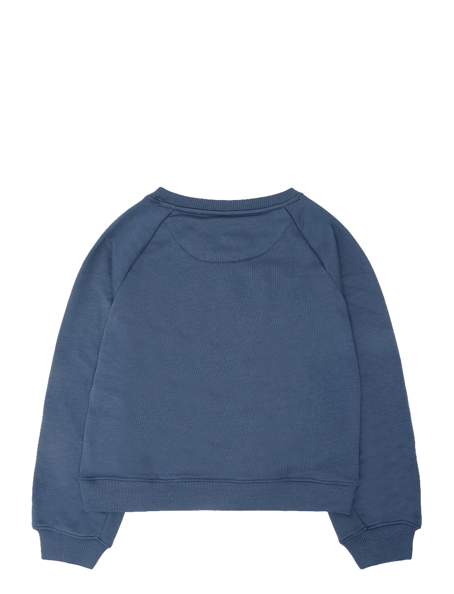 Levi's - FW-CREW - sweatshirts - big dipper - 1