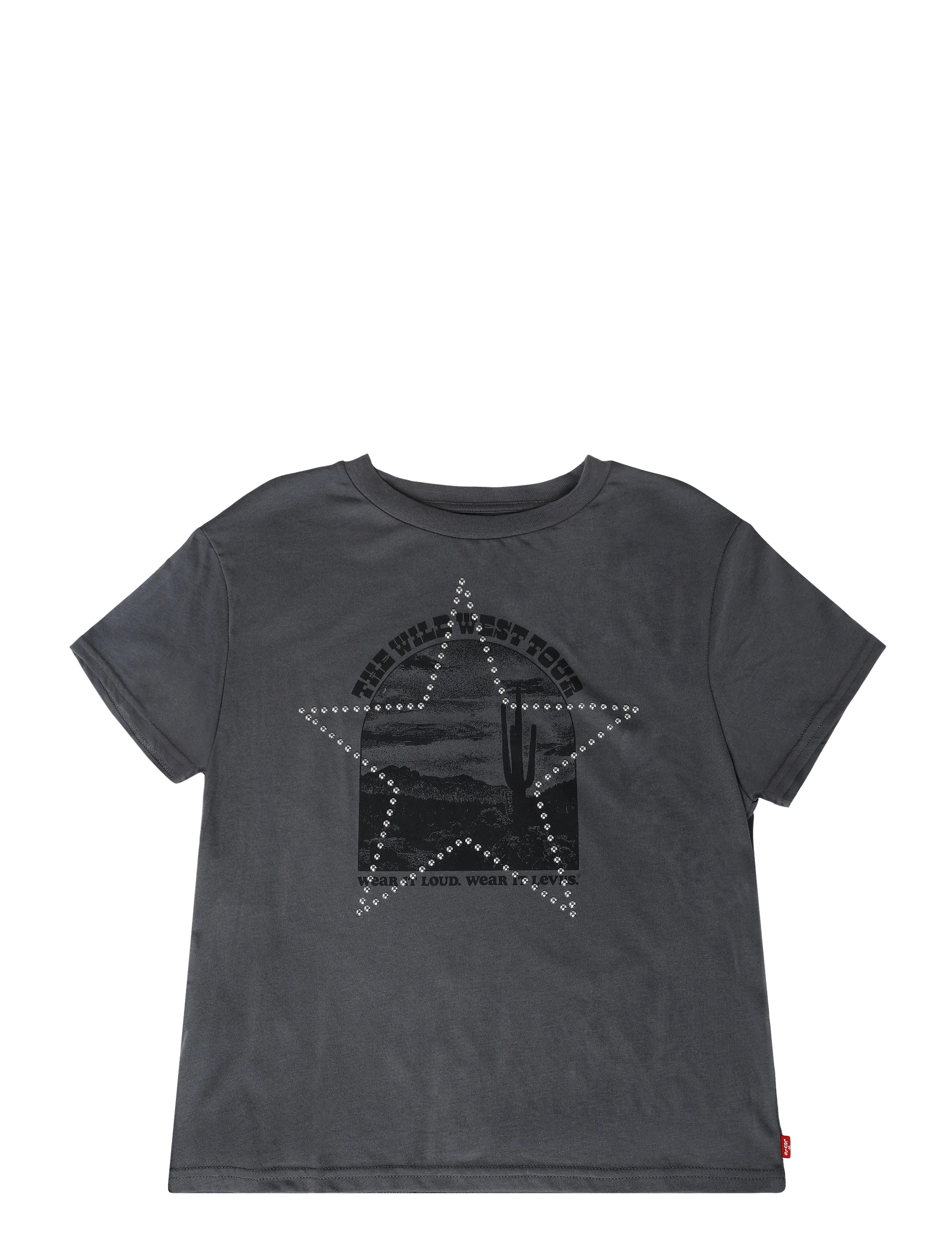 Levi's TE-S/S TEE - Tagasi kooli - MAGNET / grey