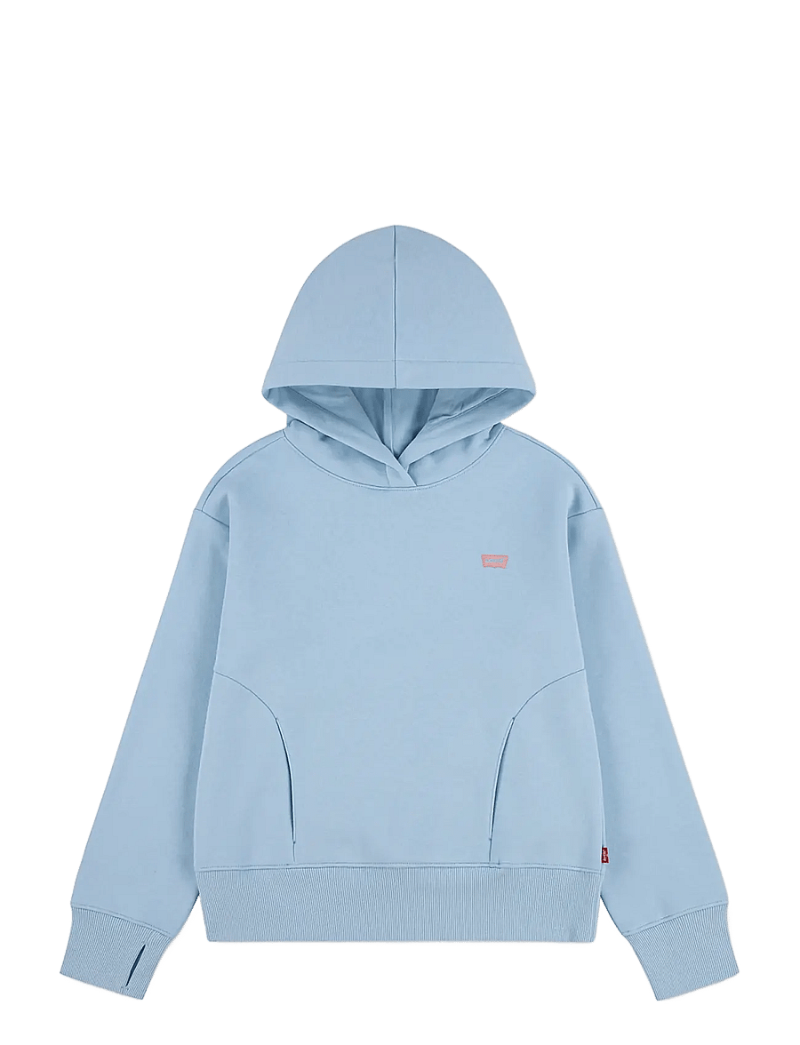 Levi's - PO-PULL-OVER HOODY - hættetrøjer - angel falls - 0