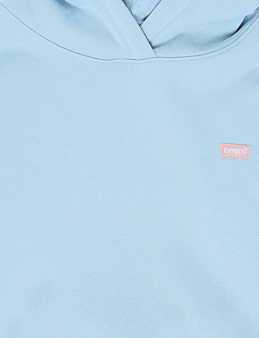 Levi's - PO-PULL-OVER HOODY - hettupeysur - angel falls - 2