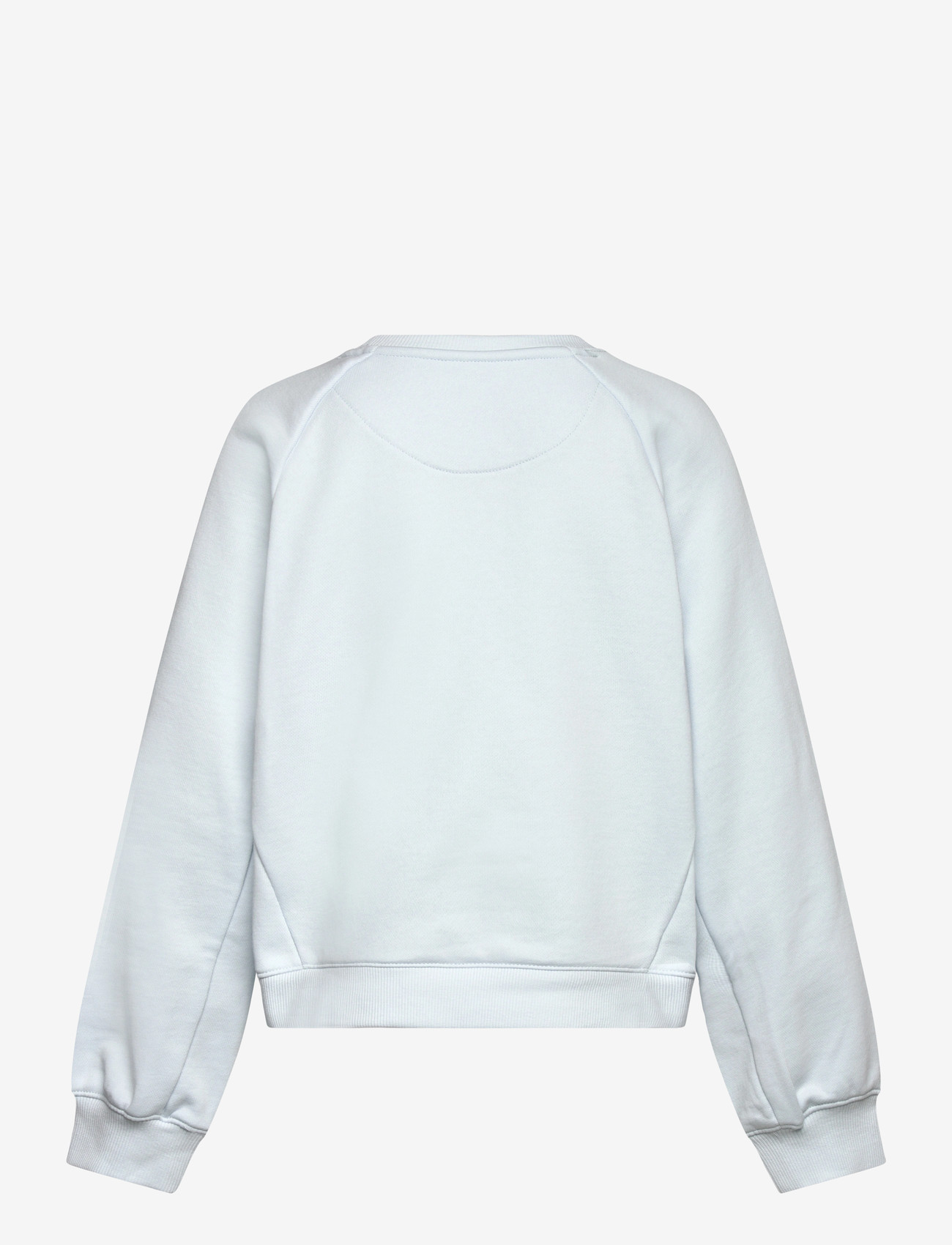 Levi's - Levi's® Meet and Greet Crewneck - sweatshirts - country air - 1