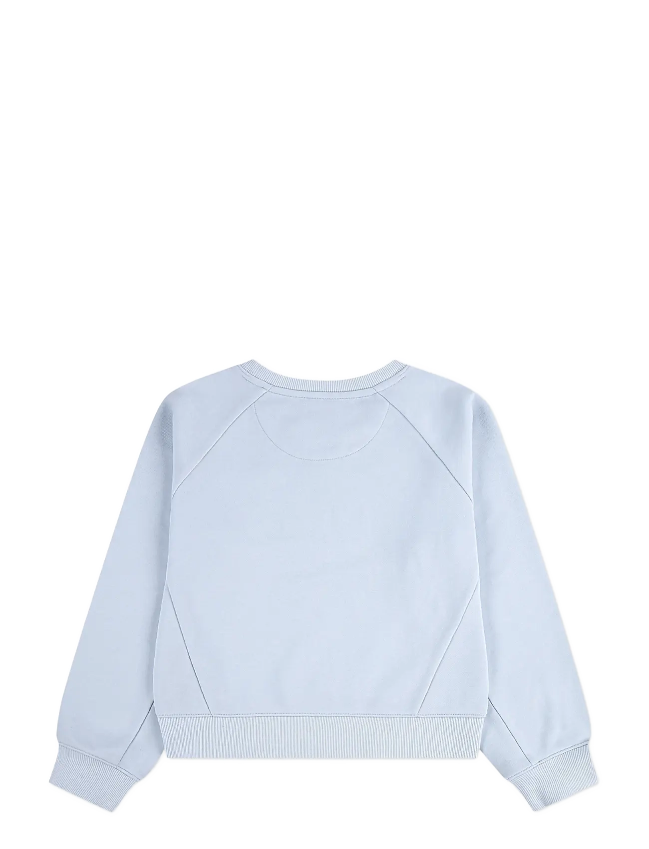 Levi's - FW-CREW - sweatshirts - country air - 1