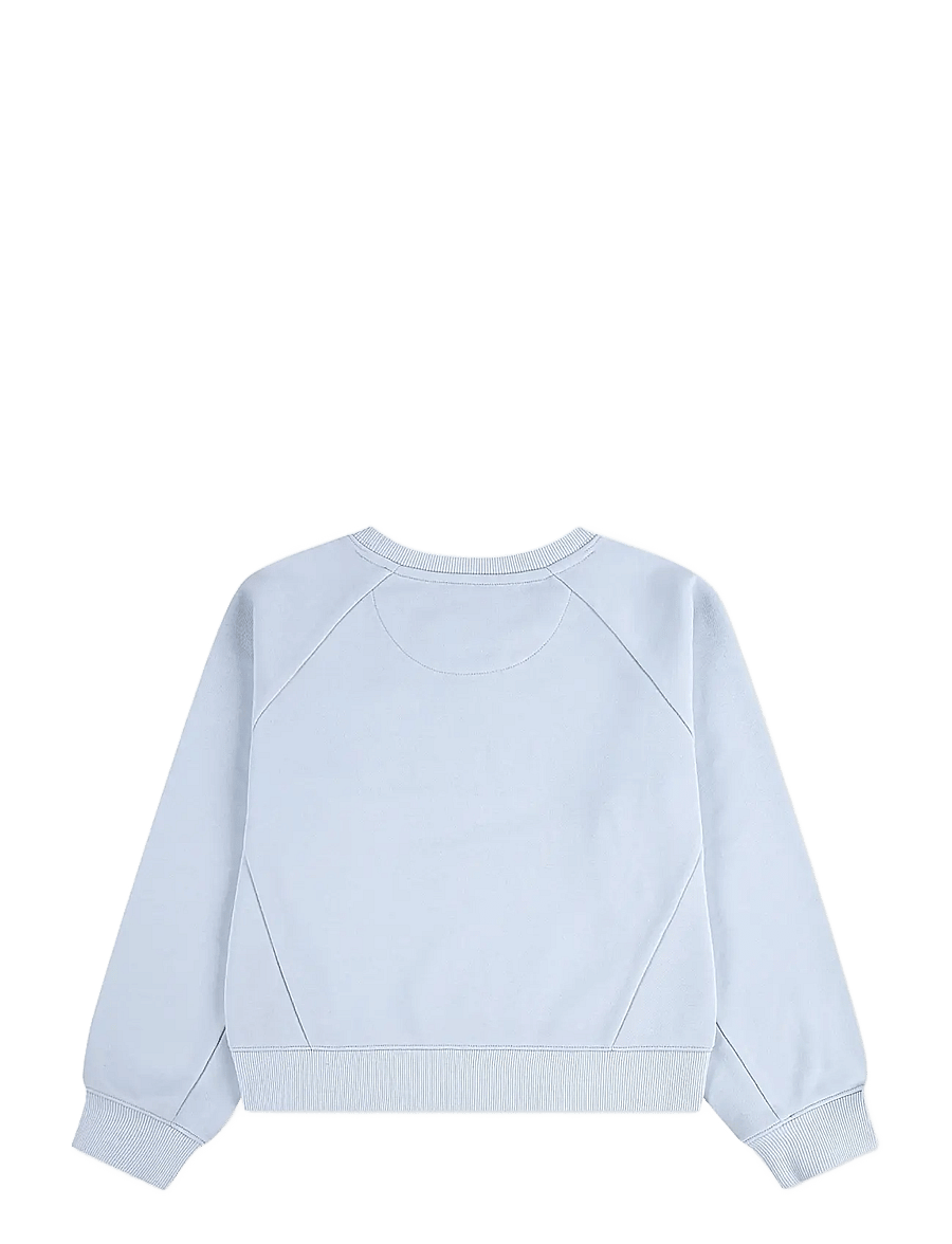 Levi's - FW-CREW - sweatshirts - country air - 1