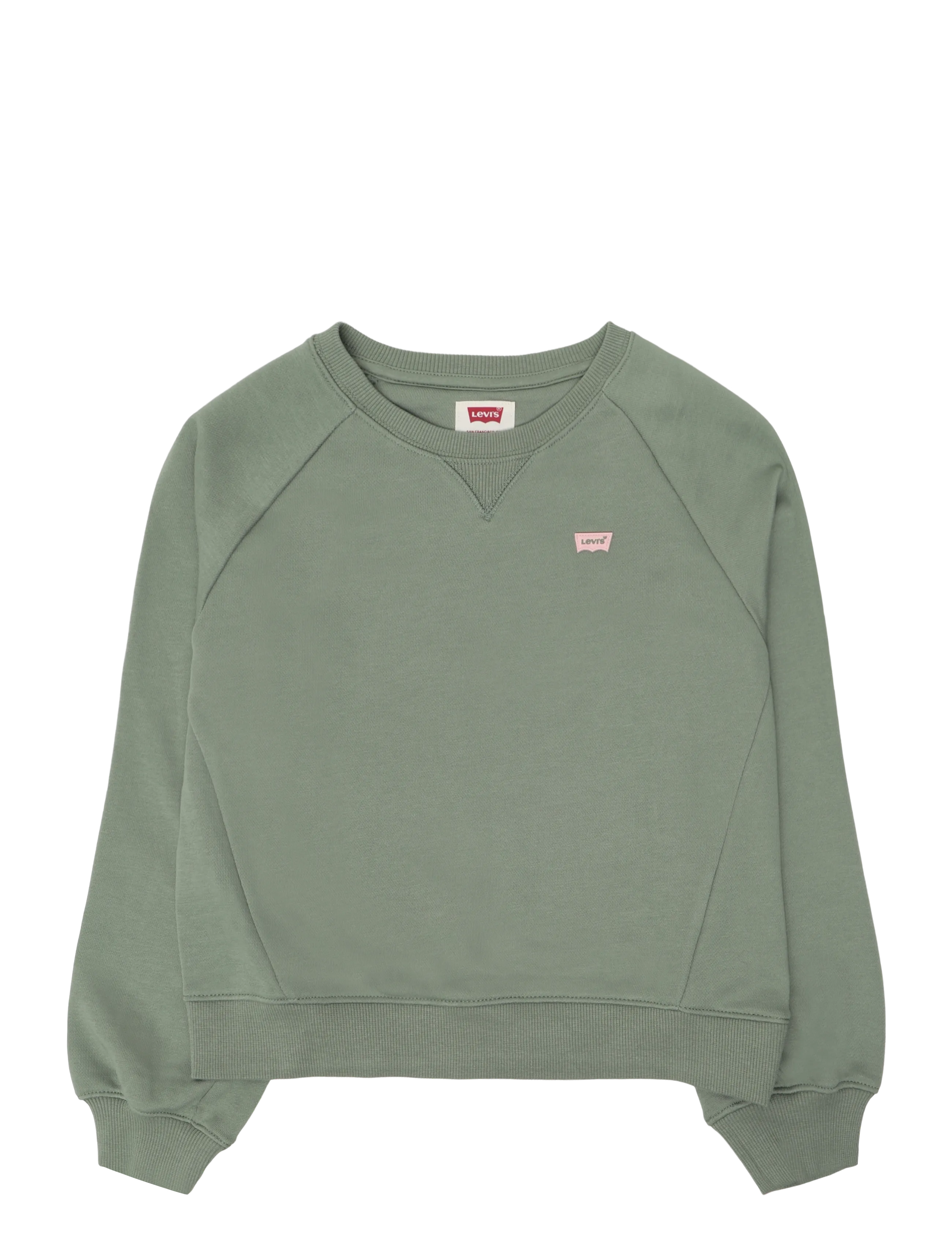 Levi's FW-CREW - Last chance - SEA SPRAY / green