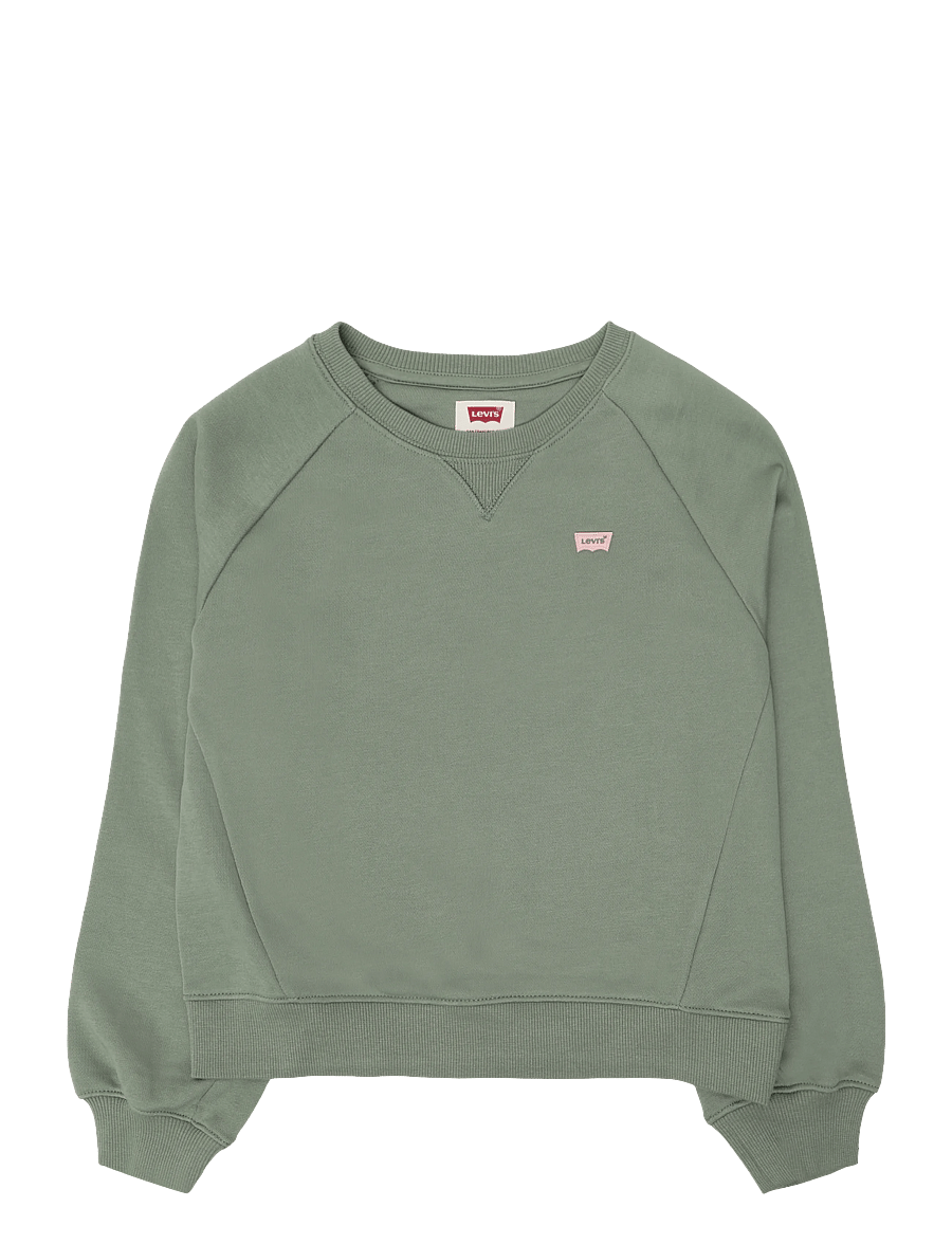 Levi's - FW-CREW - sweatshirts - sea spray - 0